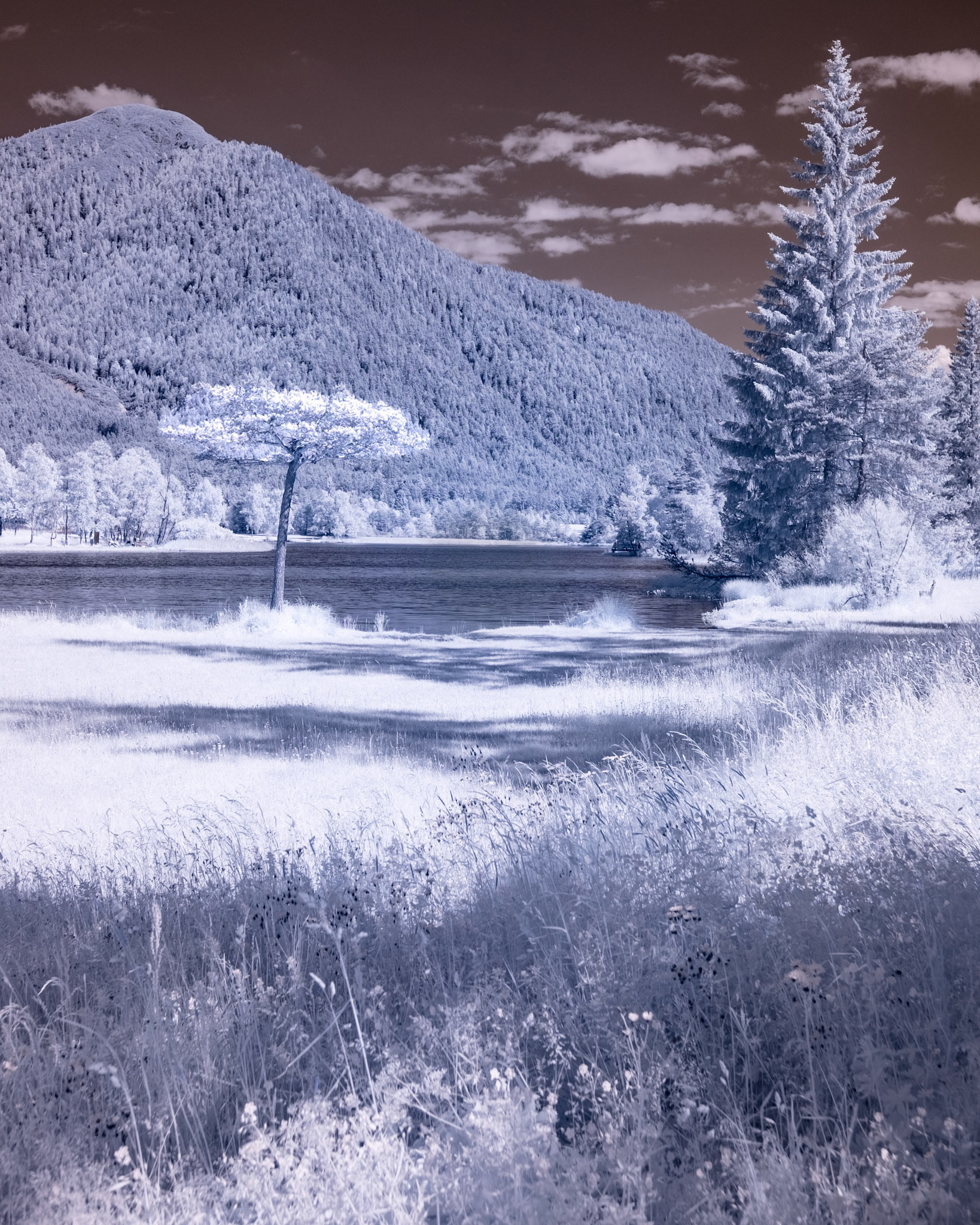 seefeld
