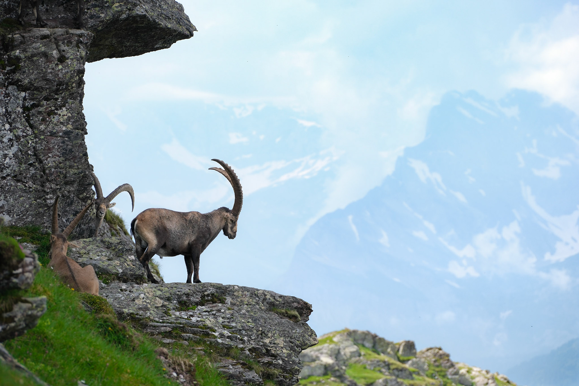 glarus | 19.07.2024