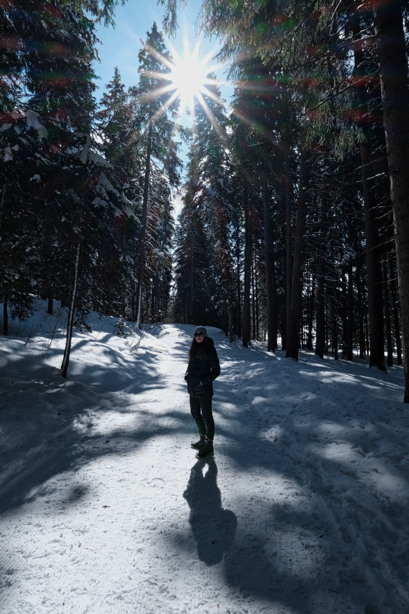 feed | graubünden | 03.2021