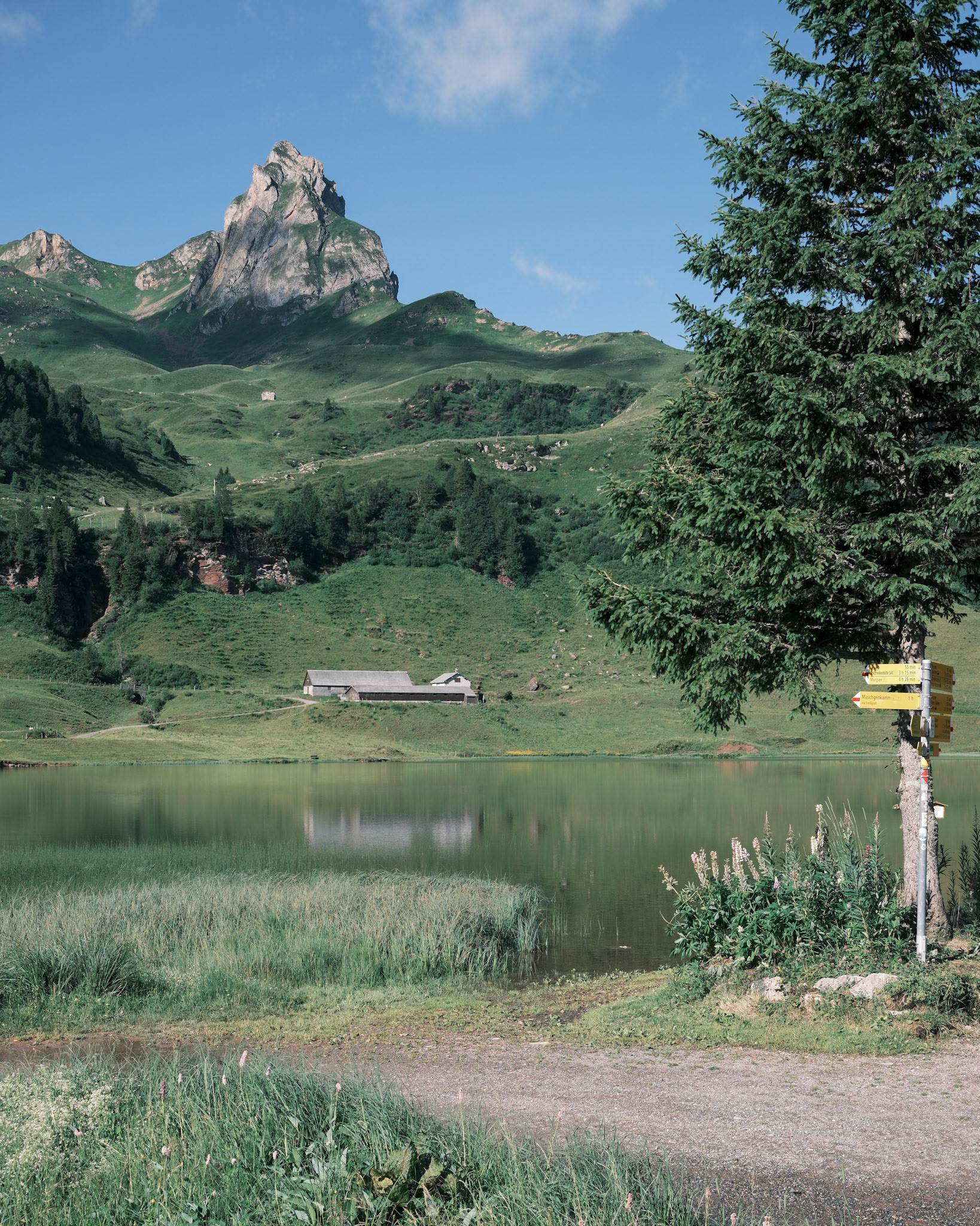 eastern switzerland | 10.07.2025