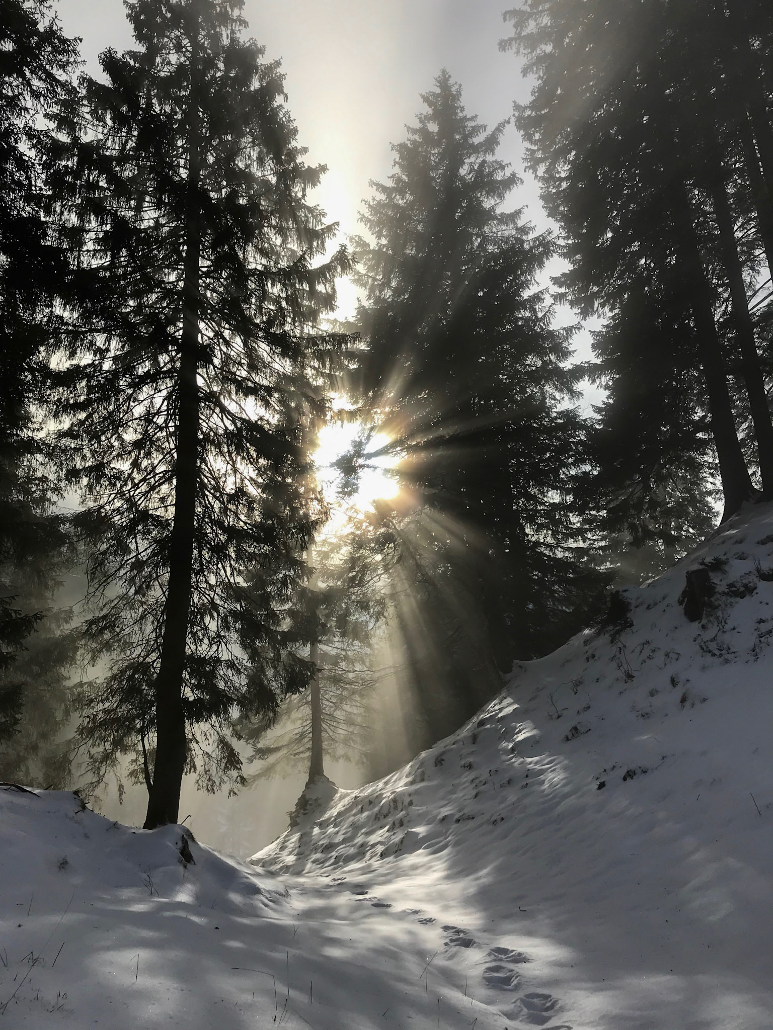switzerland | december