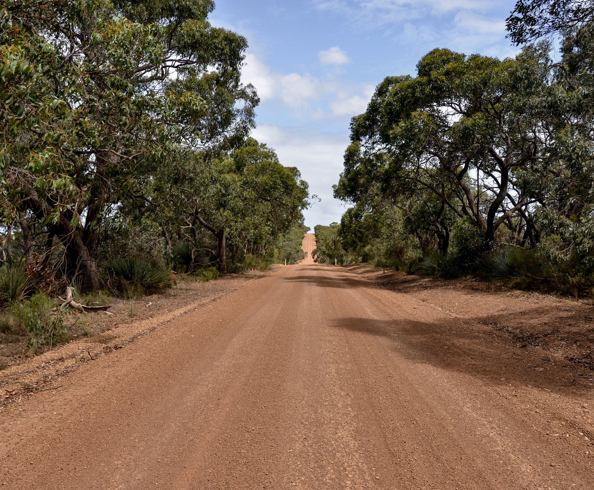 kangoroo island | 25.01.2015