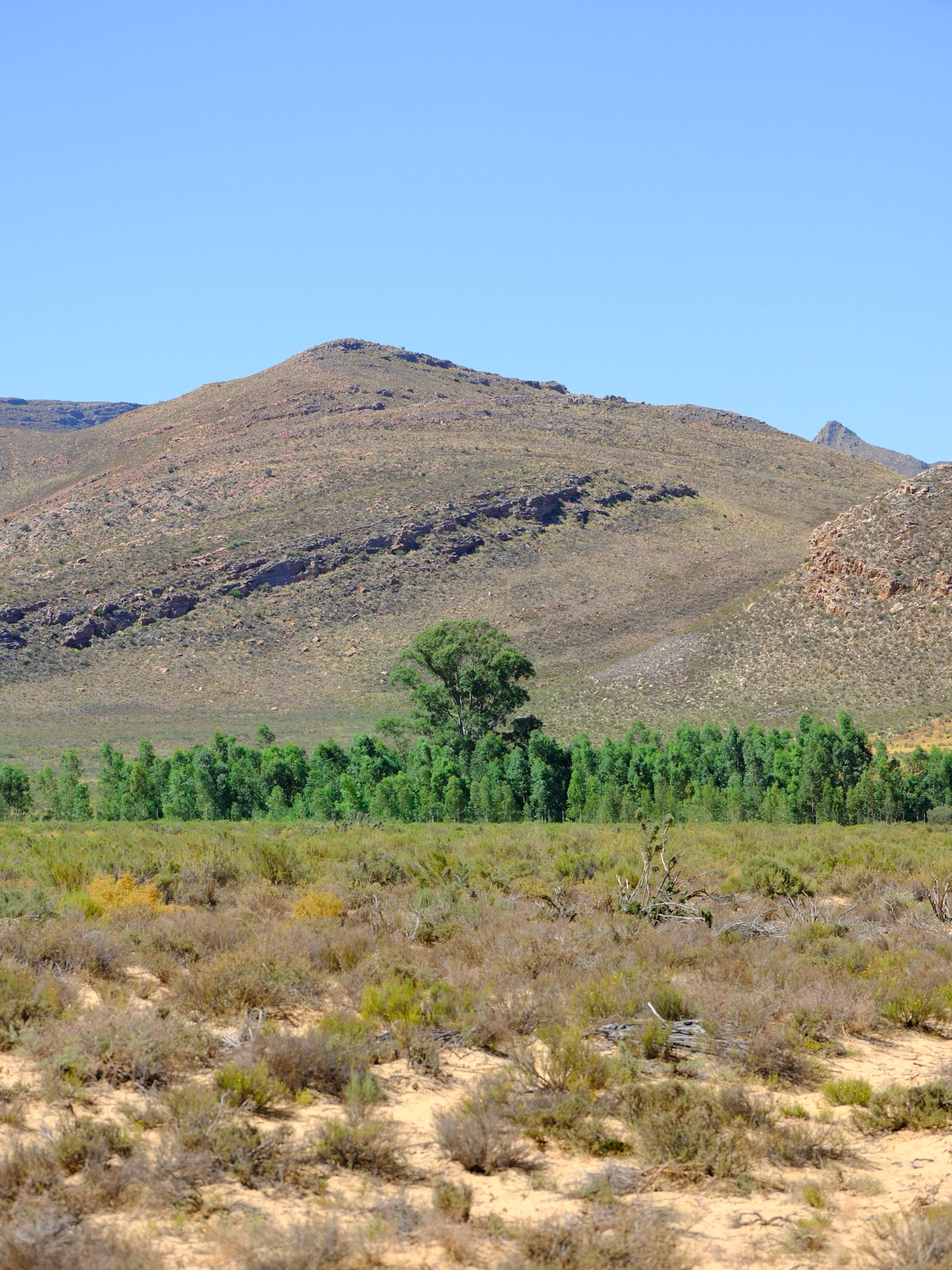 elim private nature reserve