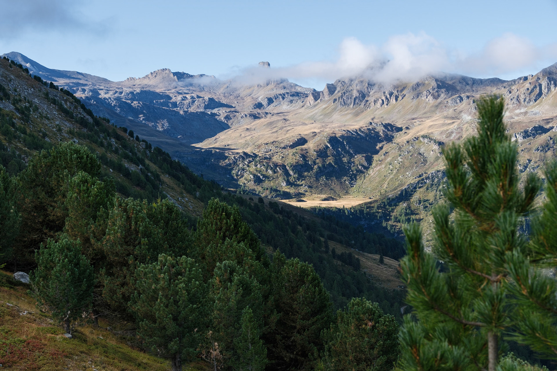 le vallon de réchy