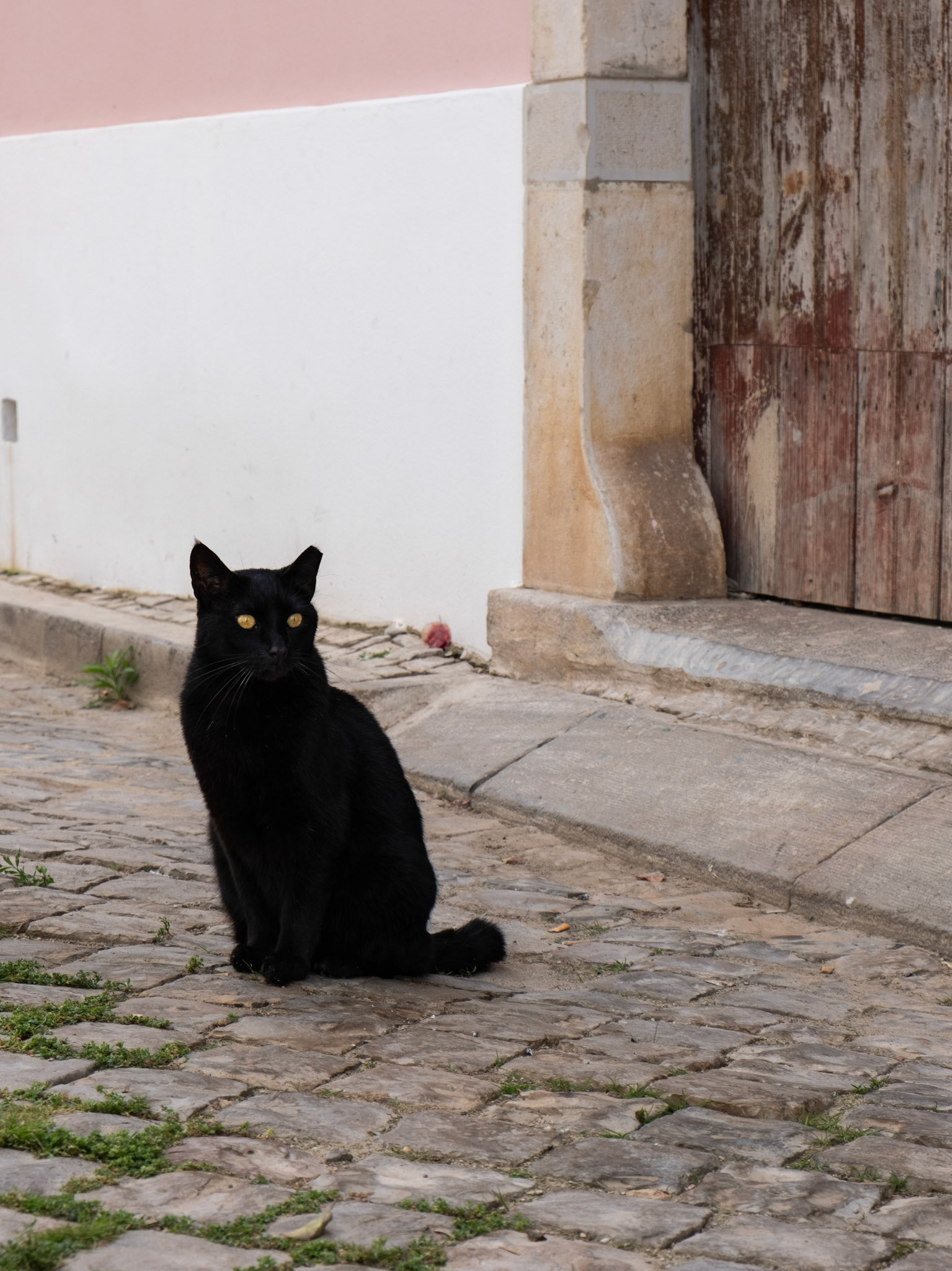 tavira