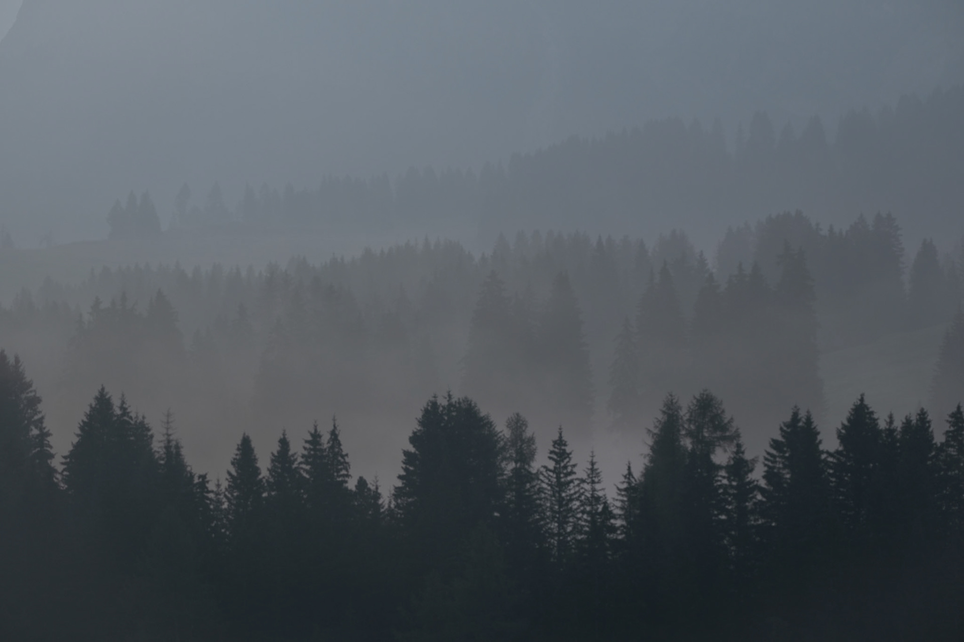 feed | südtirol | 09.2023