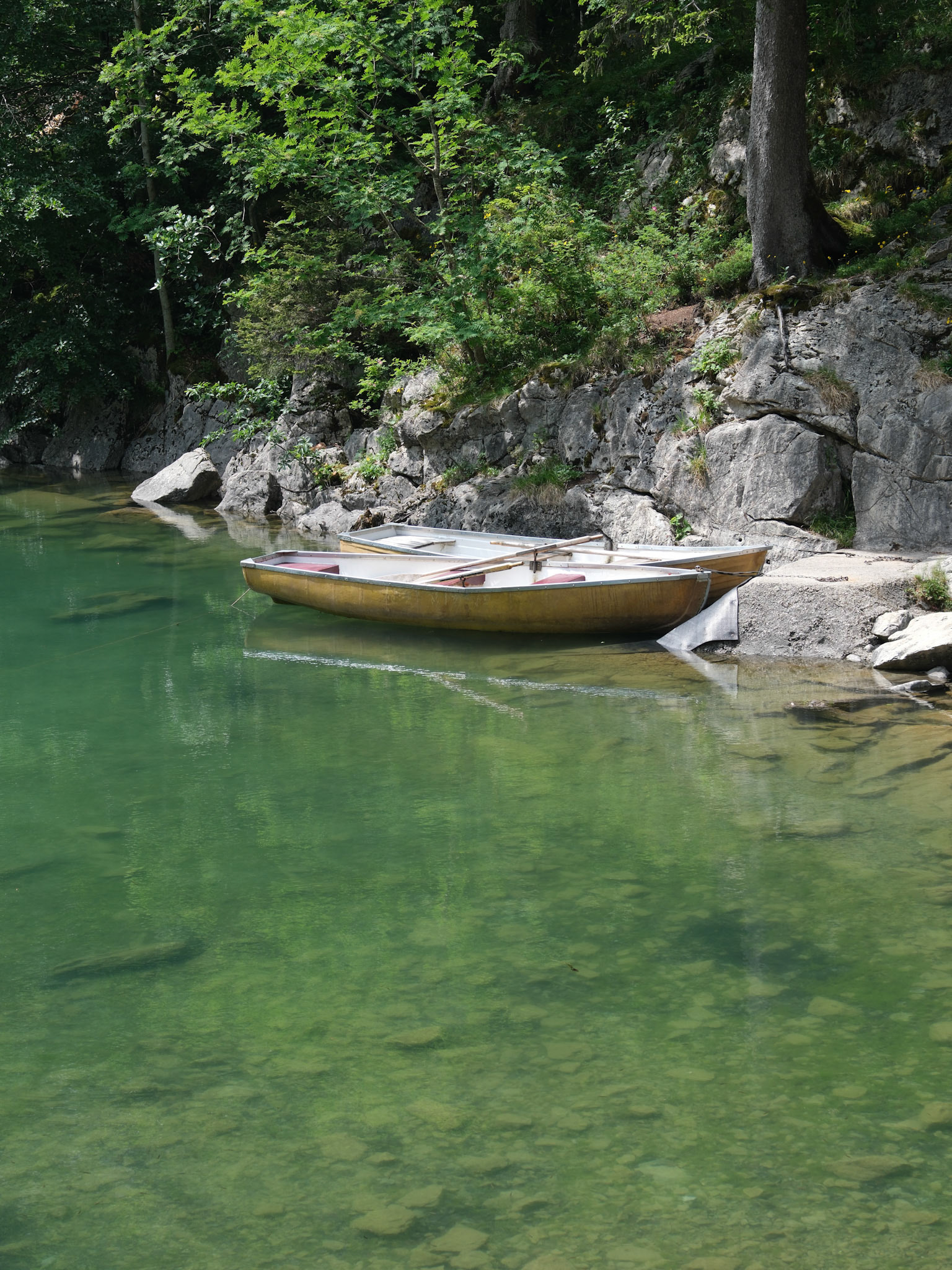 alpstein | 10.06.2025