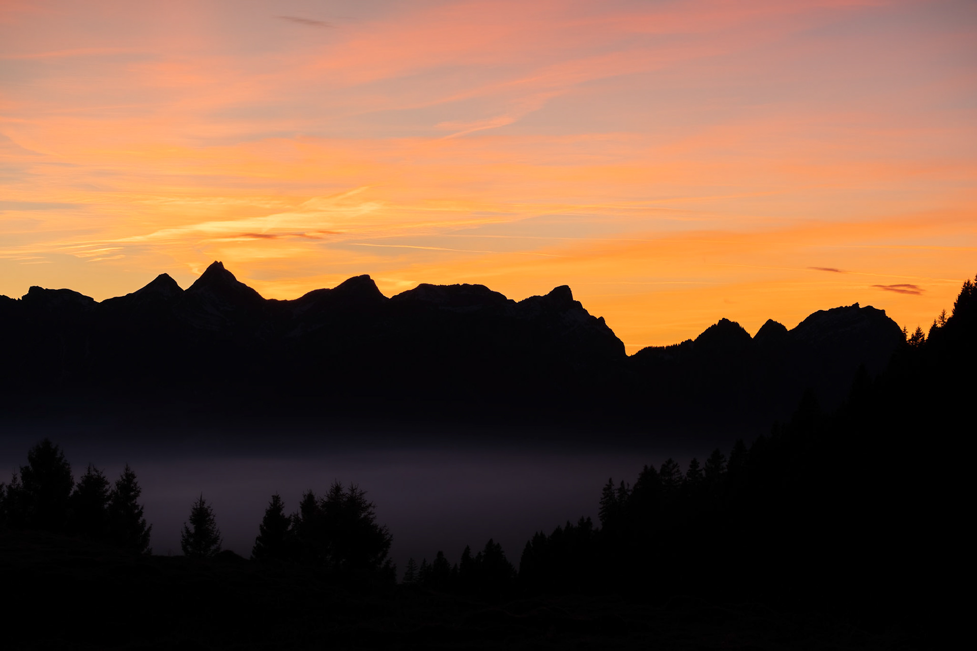 feed | eastern switzerland | 01.2023