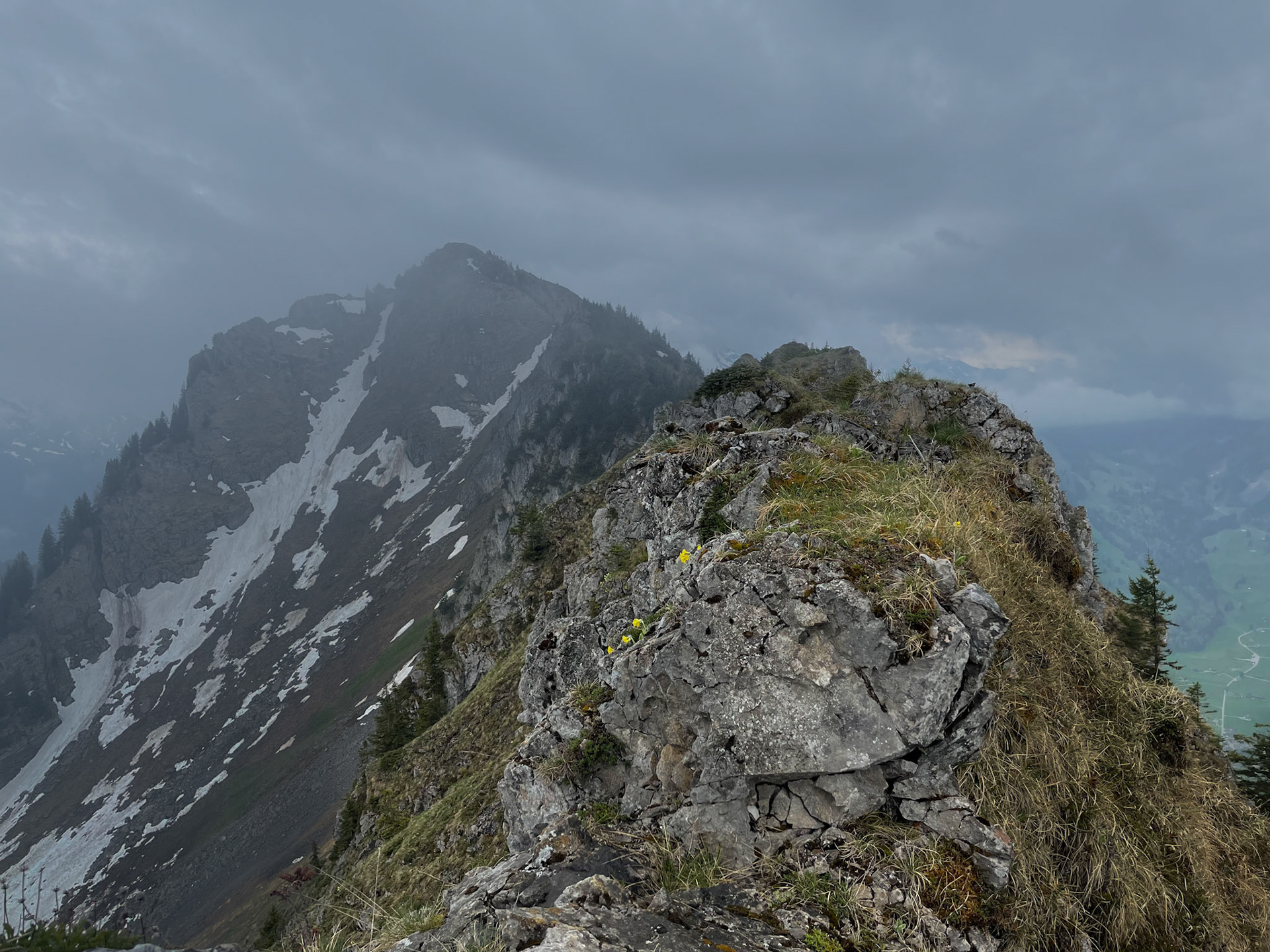 toggenburg | 13.05.2022