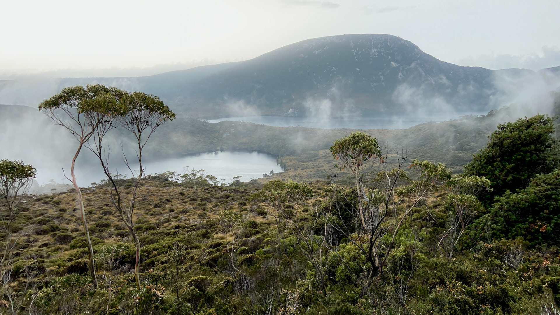 tasmania | 10.01.20