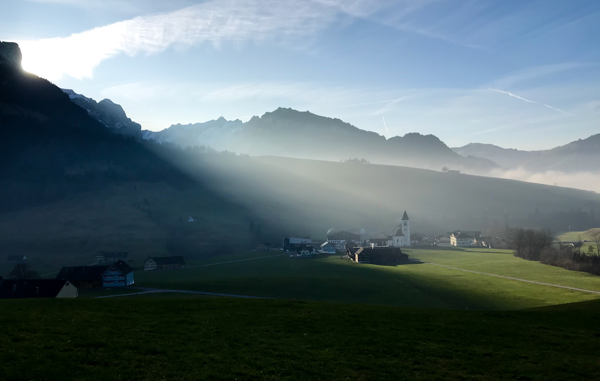 feed | eastern switzerland | 11.2019