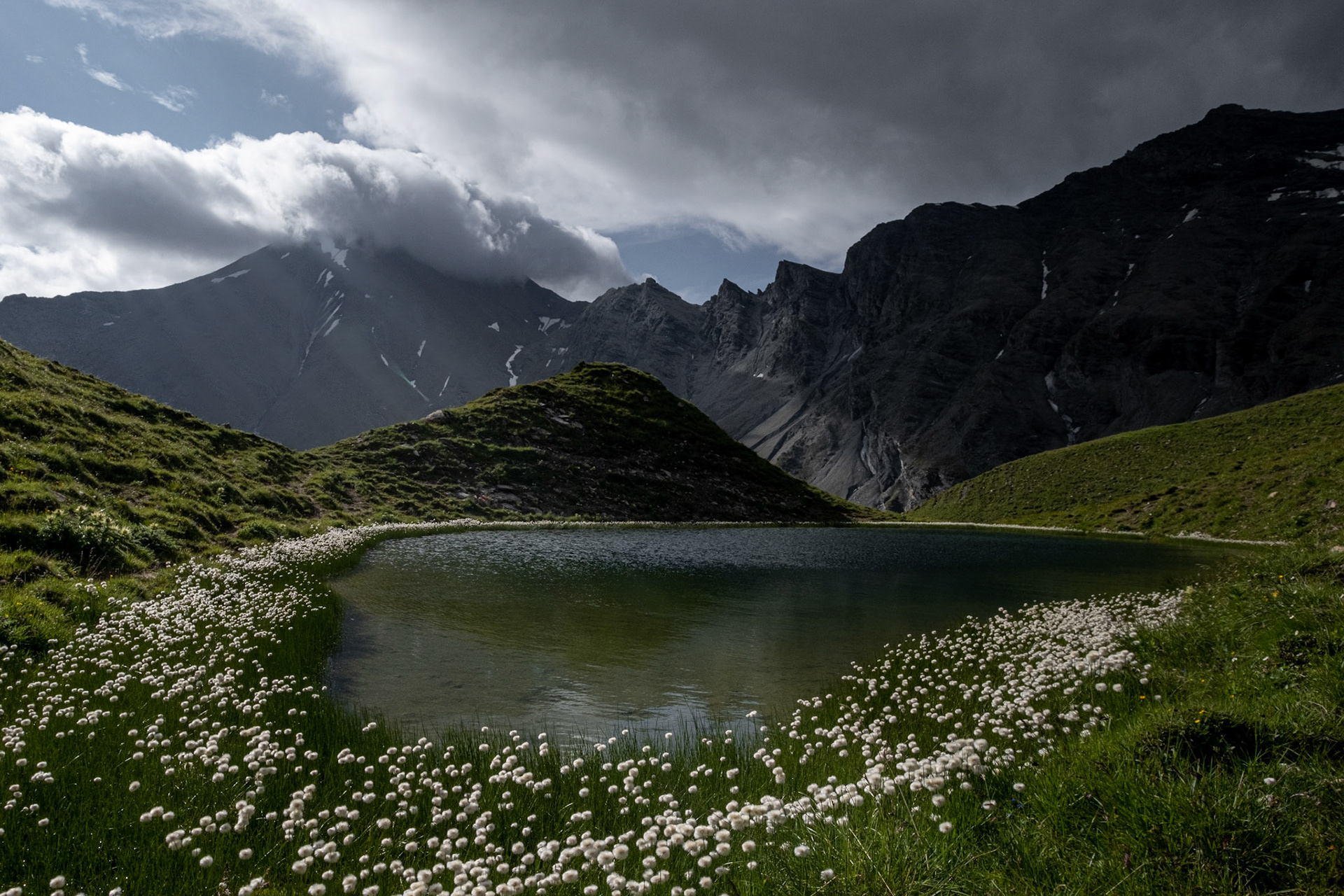 feed | graubünden | 07.2021