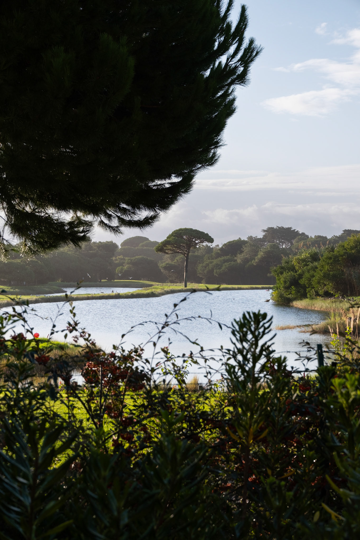 cascais