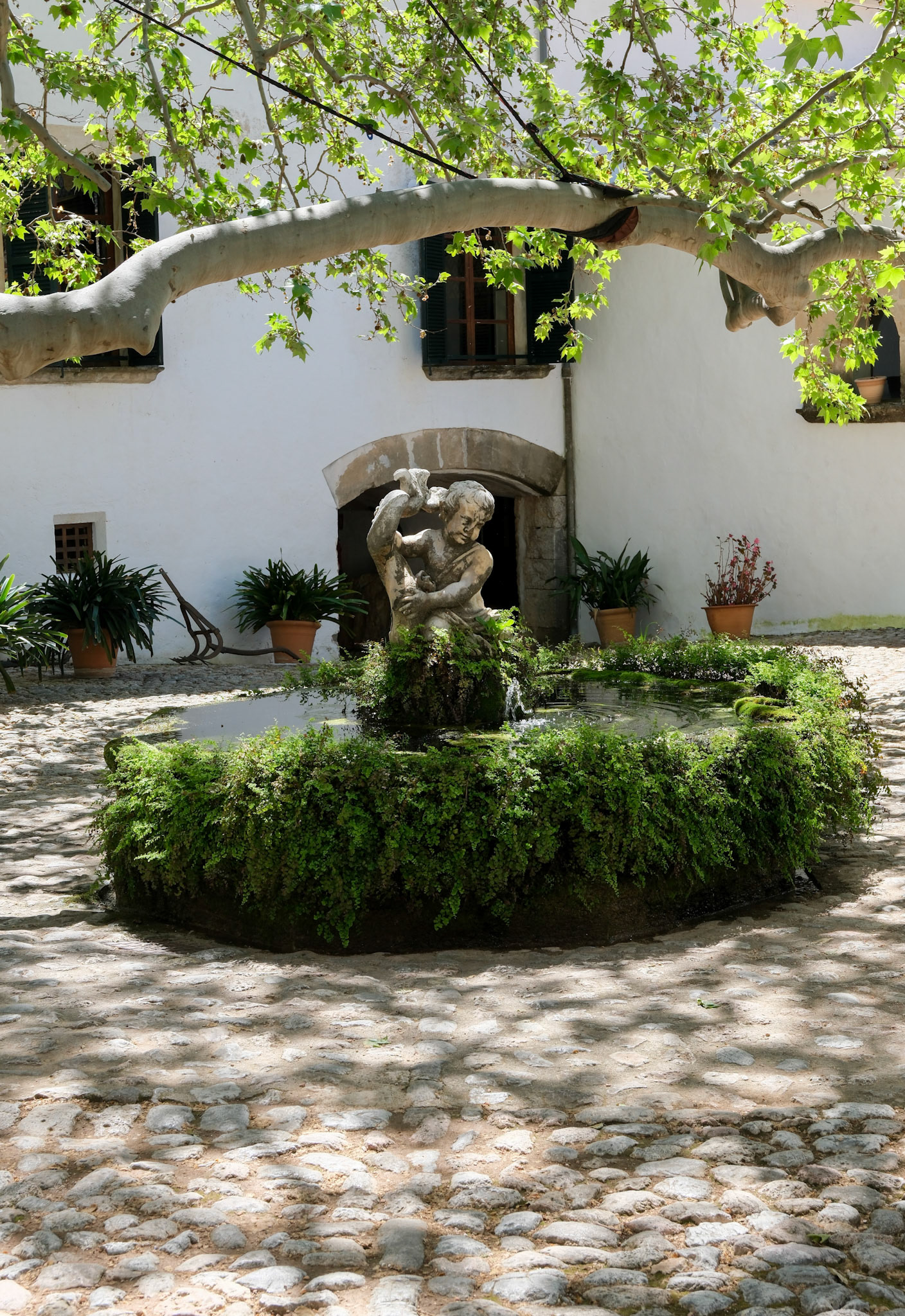 jardins d'alfàbia