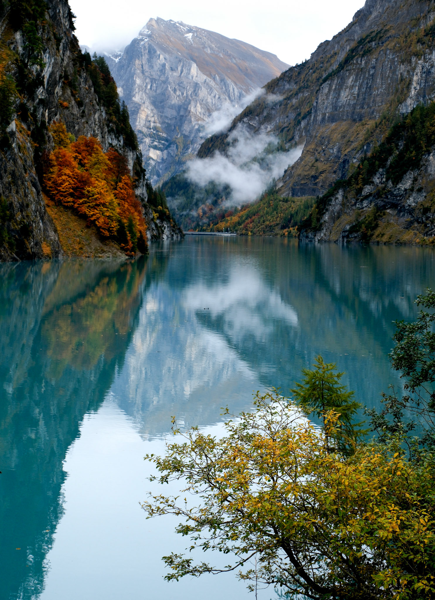 feed | eastern switzerland | 10.2022