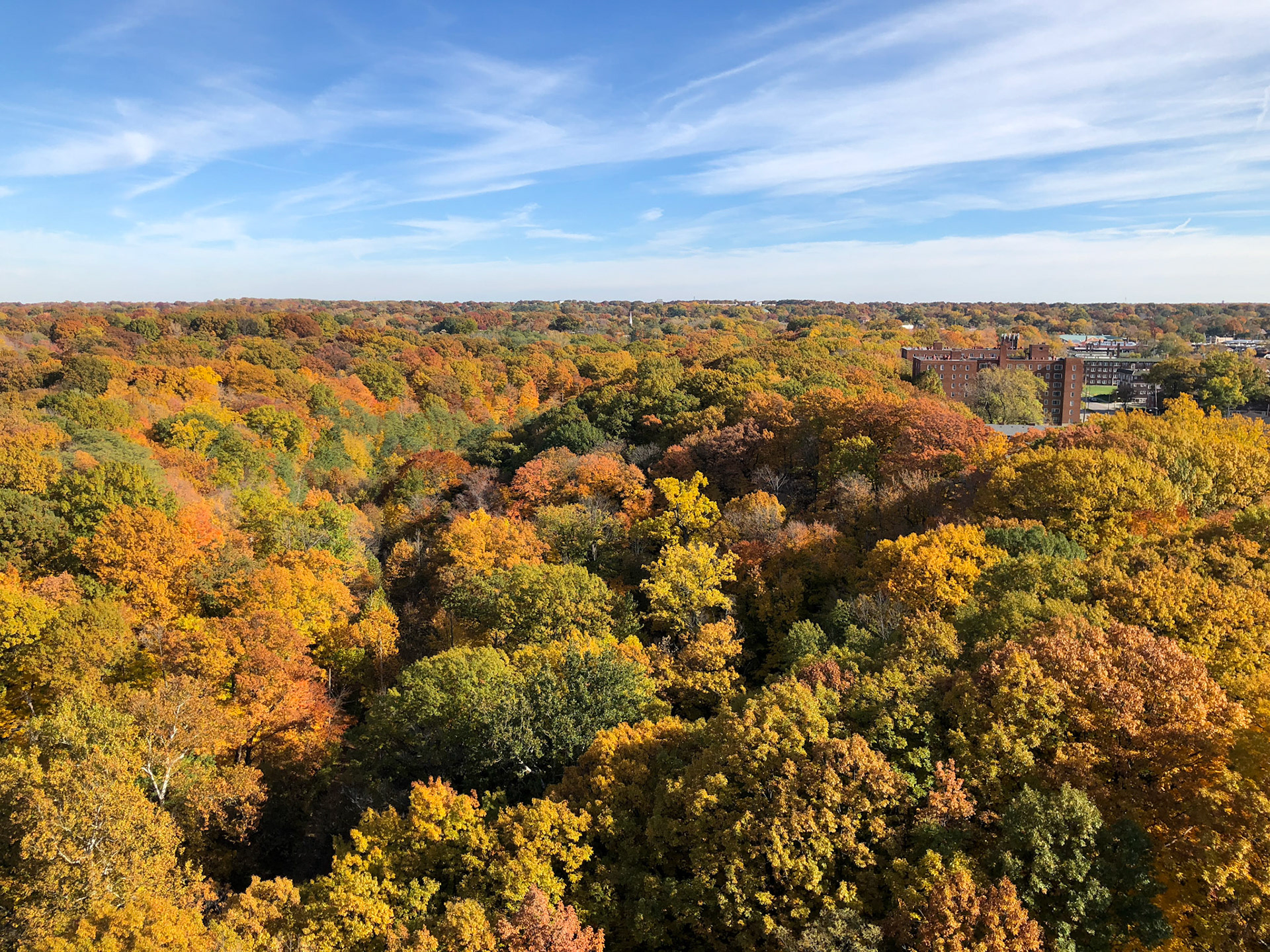 Fall colors in Cleveland, Ohio