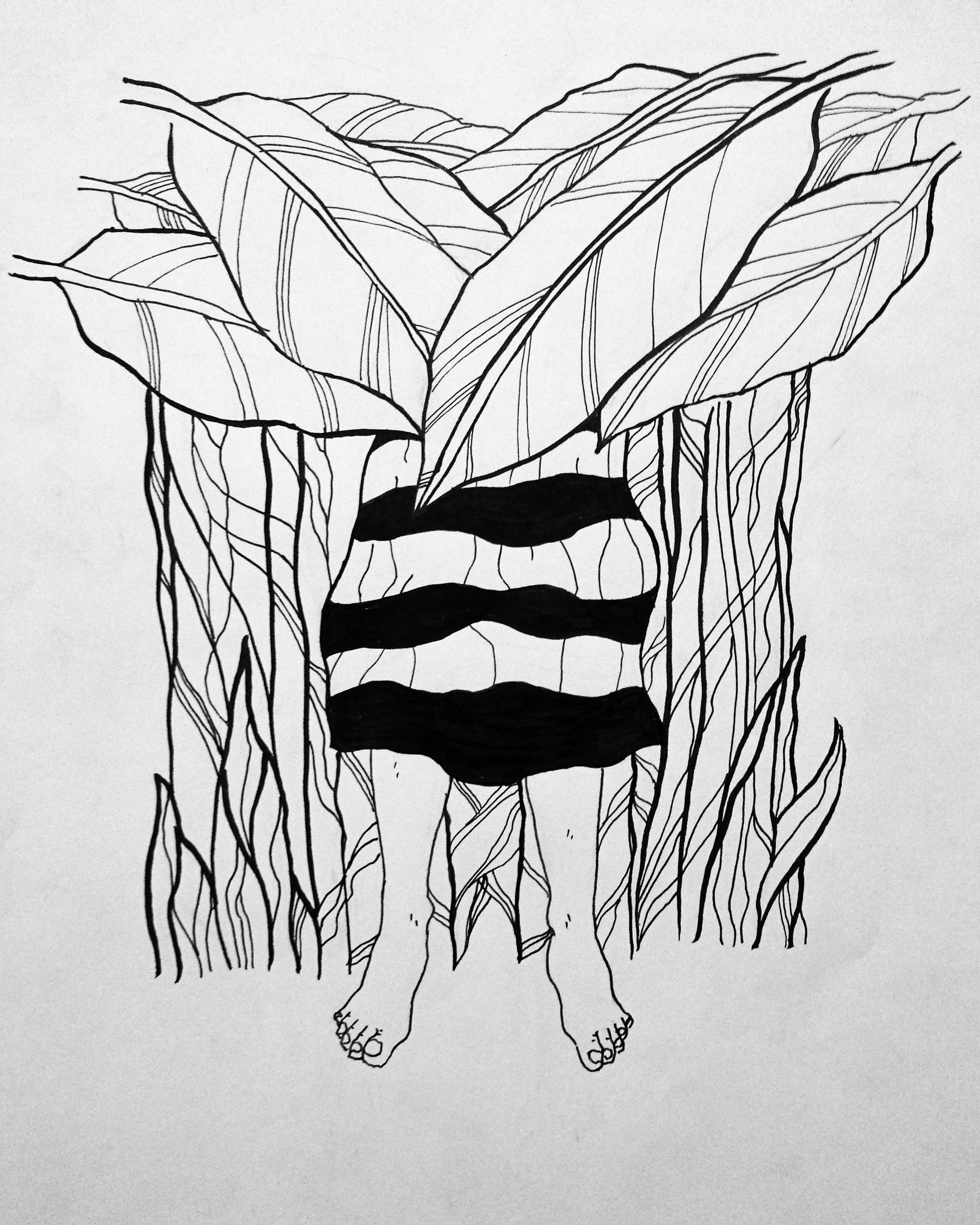 The Banana Grove (2014)