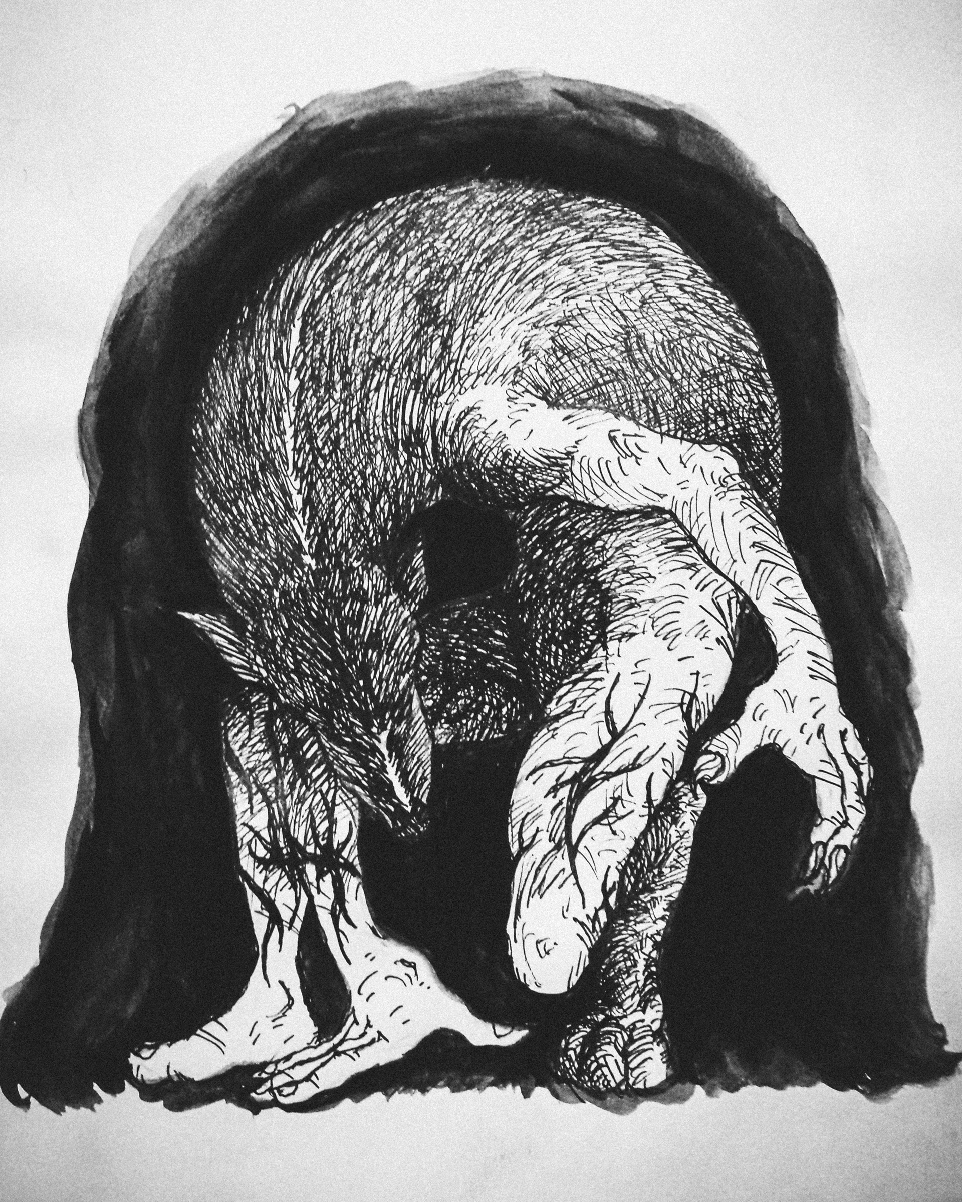 The Transformation (2014)
