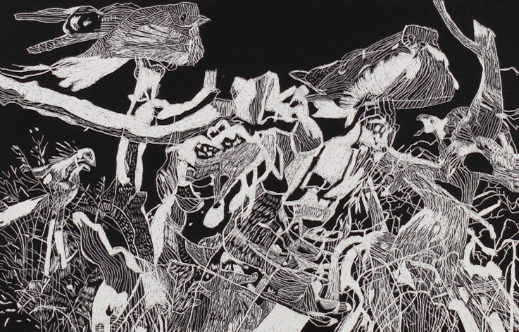 Frank Quaranta | Secretary Birds, 2016