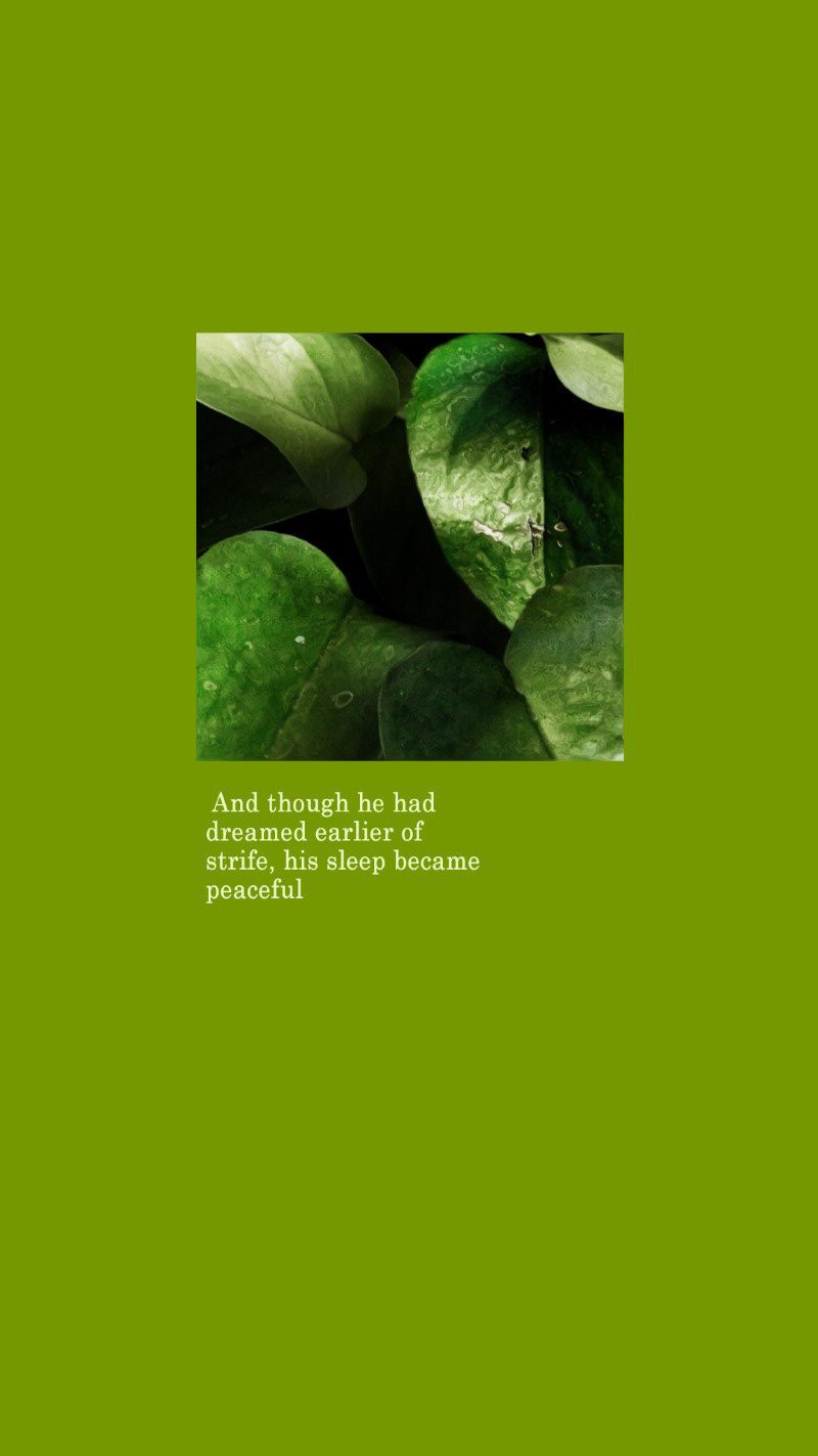 Test 3 © Elizabeth Frone