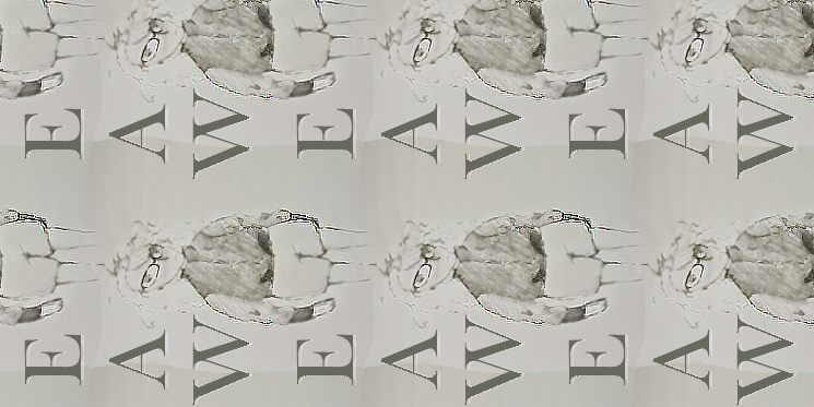 Small Horizontal Banner. Illustrated and edited by Elizabeth Frone.