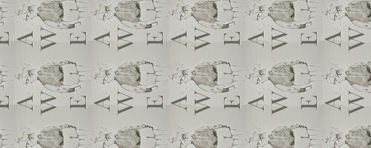 Large Horizontal Banner. Illustrated and edited by Elizabeth Frone.