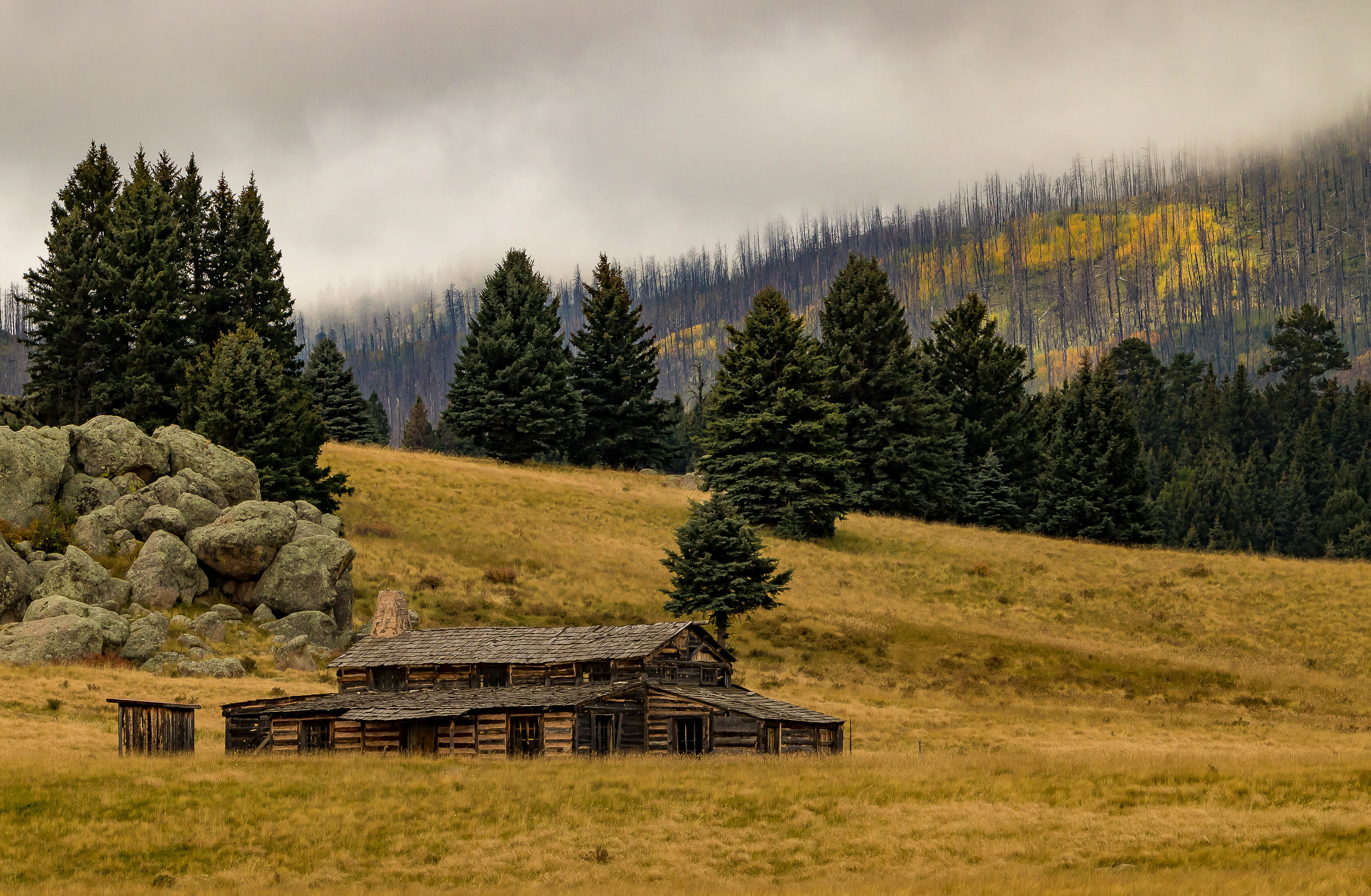 Missing Cabin
