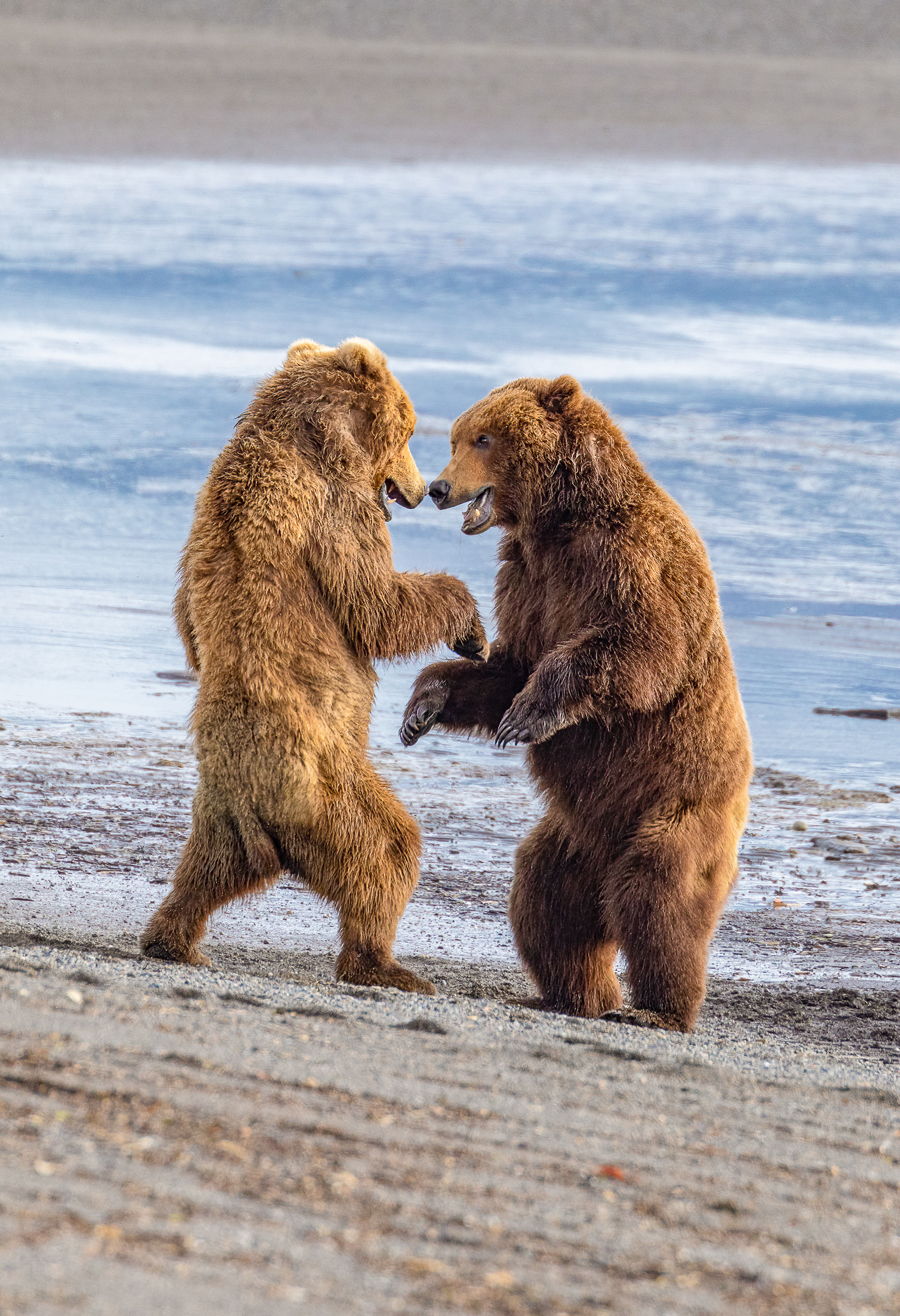 Stand Off