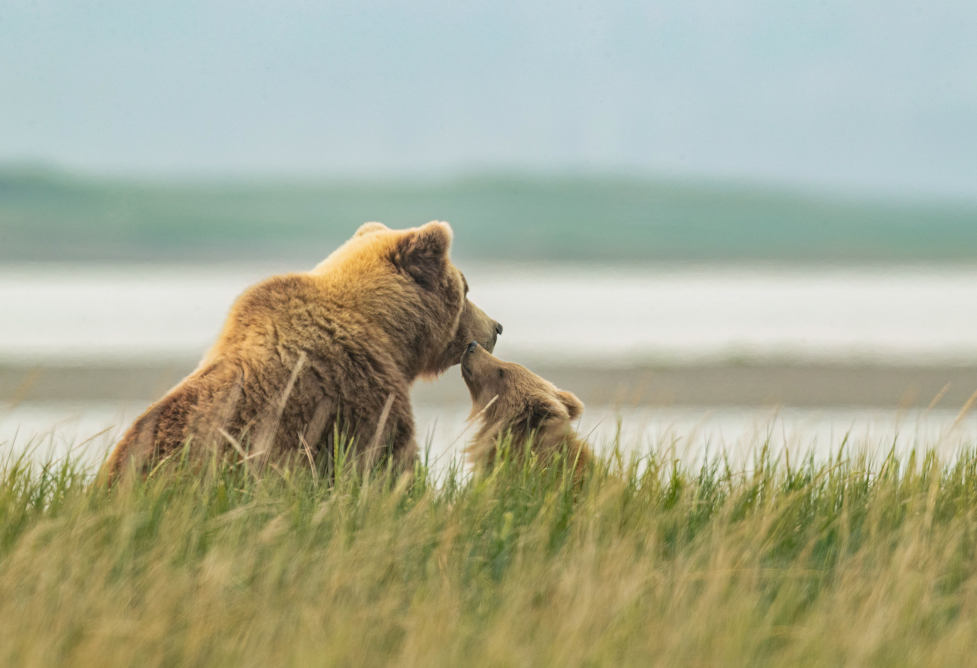 Tender Moments