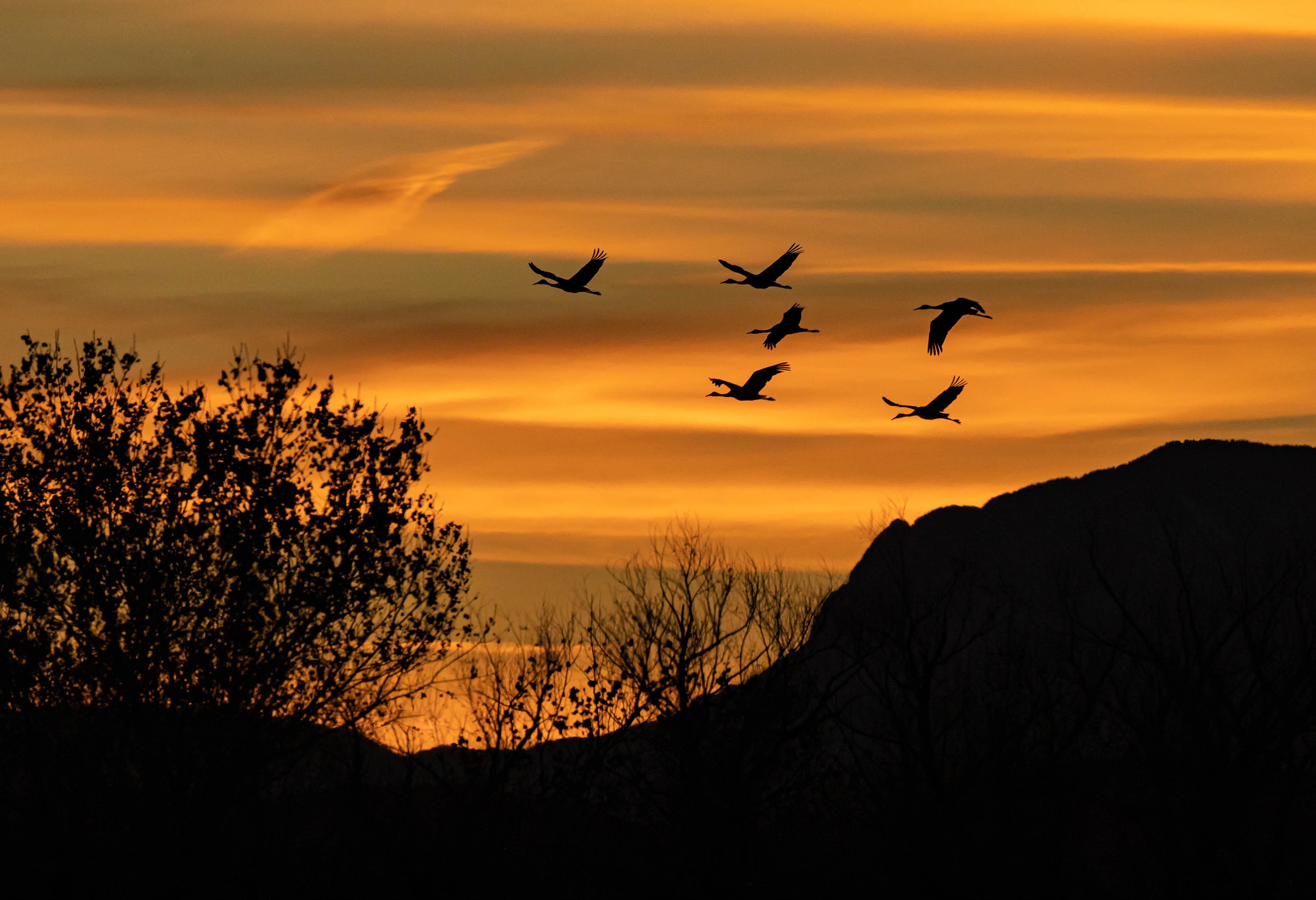 Evening Return