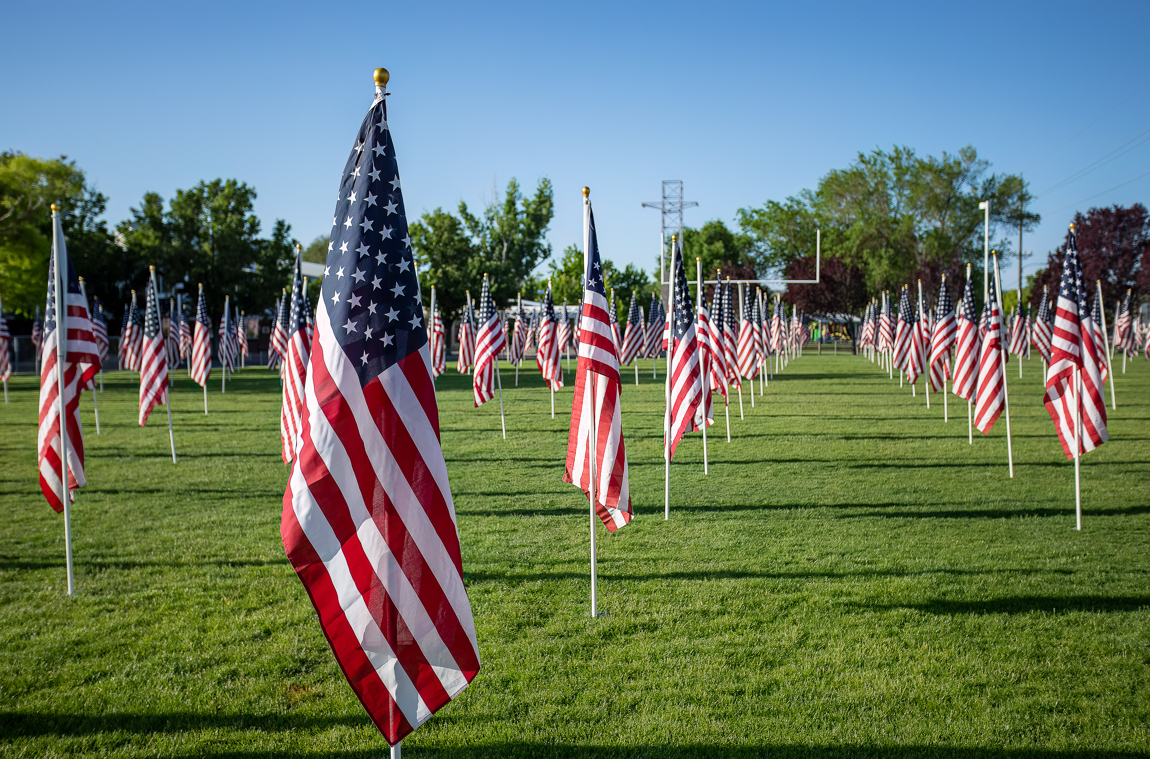 Flags