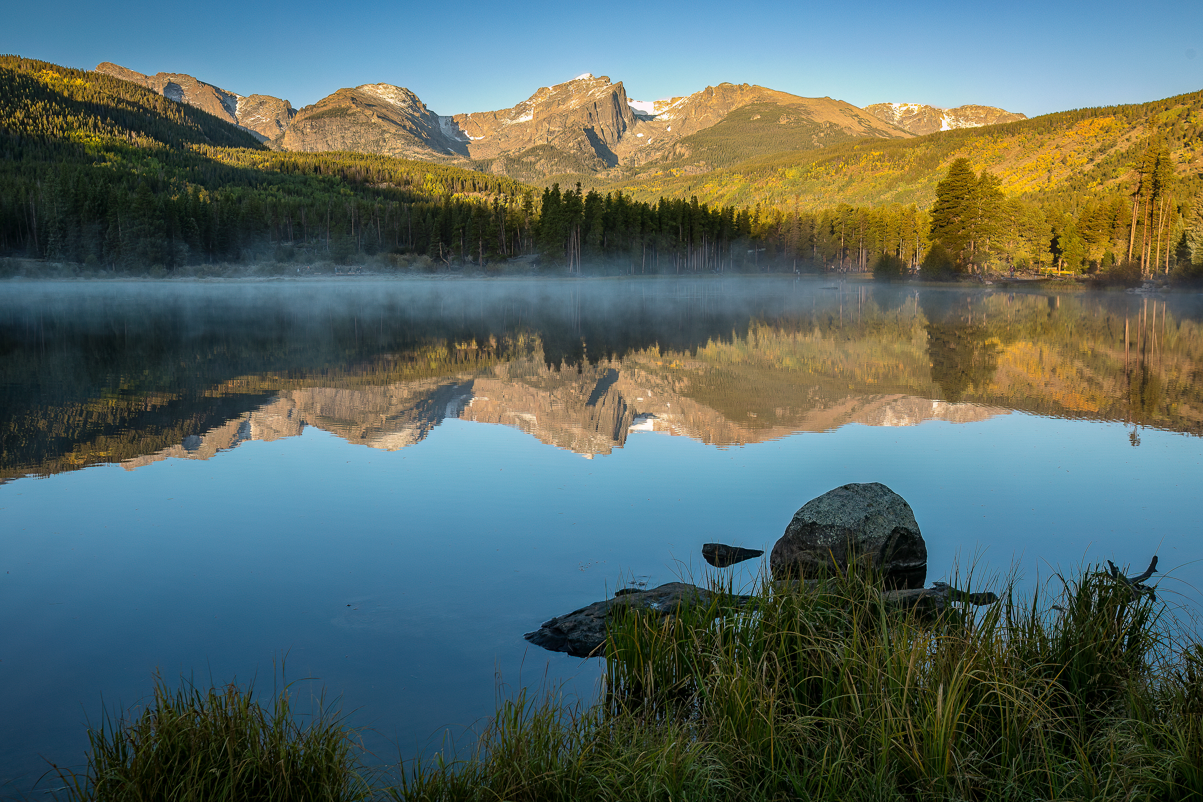 Reflections