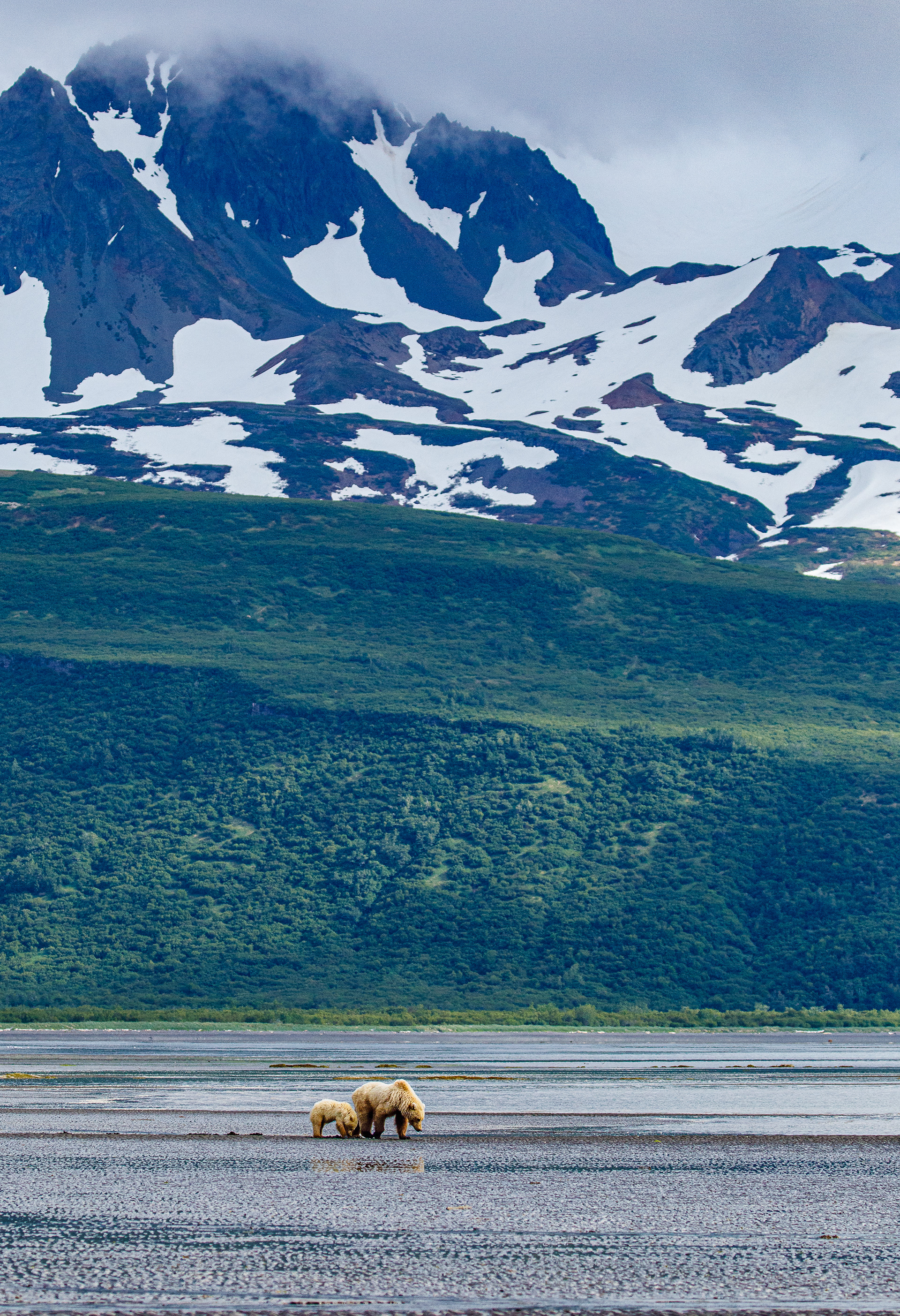 Clamming Under the Mountain