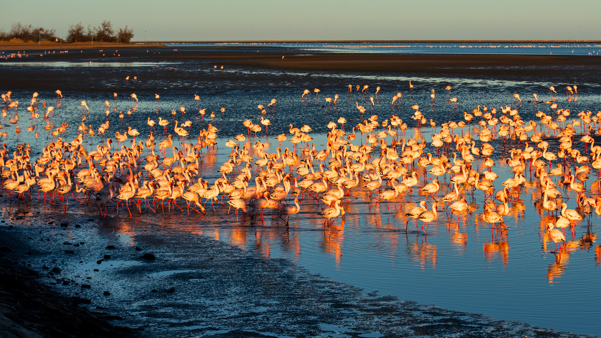 Walris Bay Lagoon
