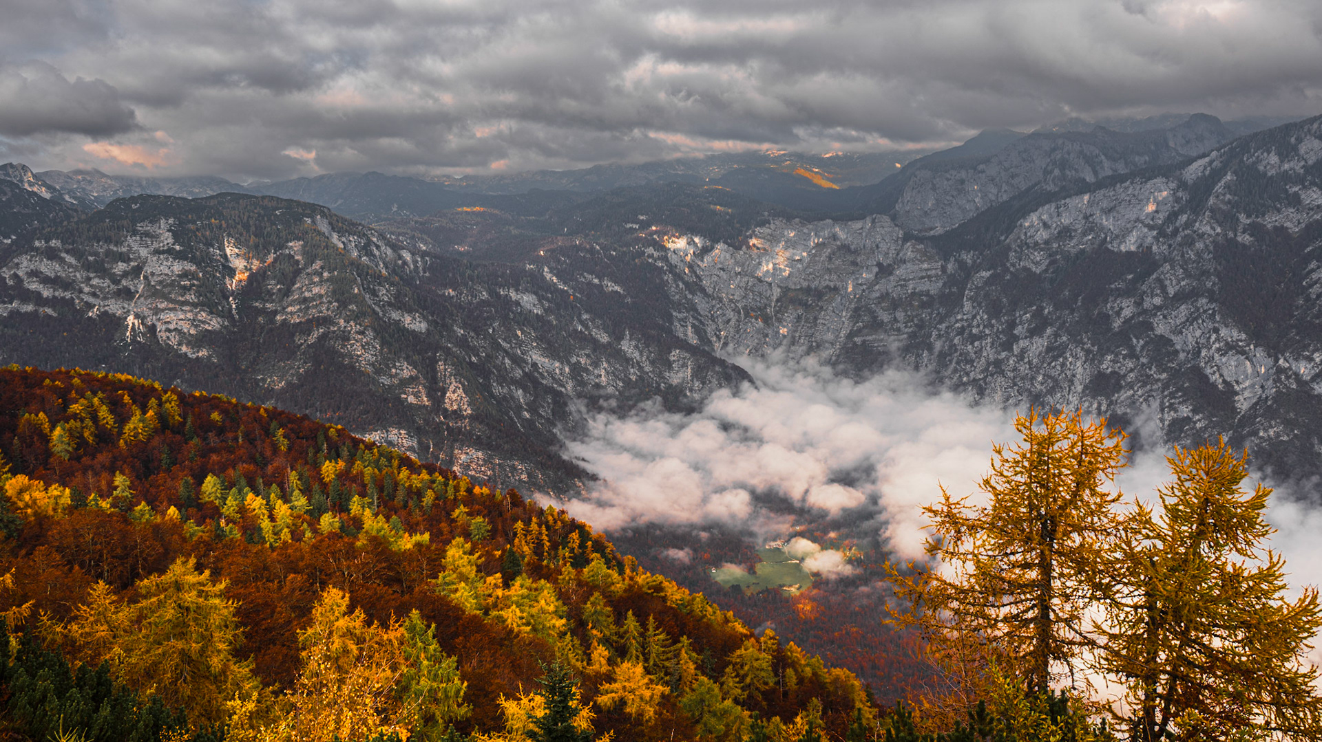 Vogel Mountain