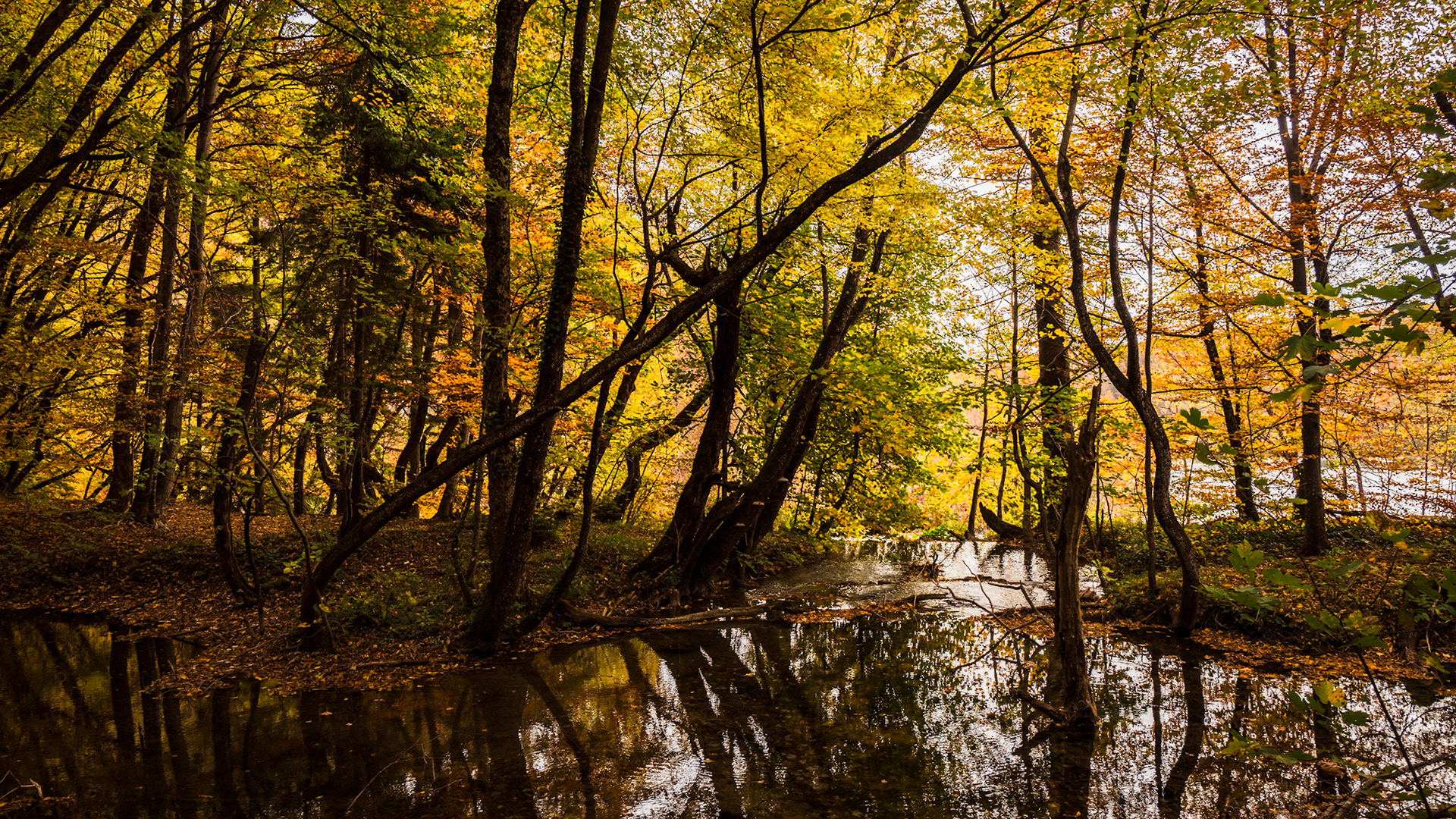 Plitvice Lakes National Park