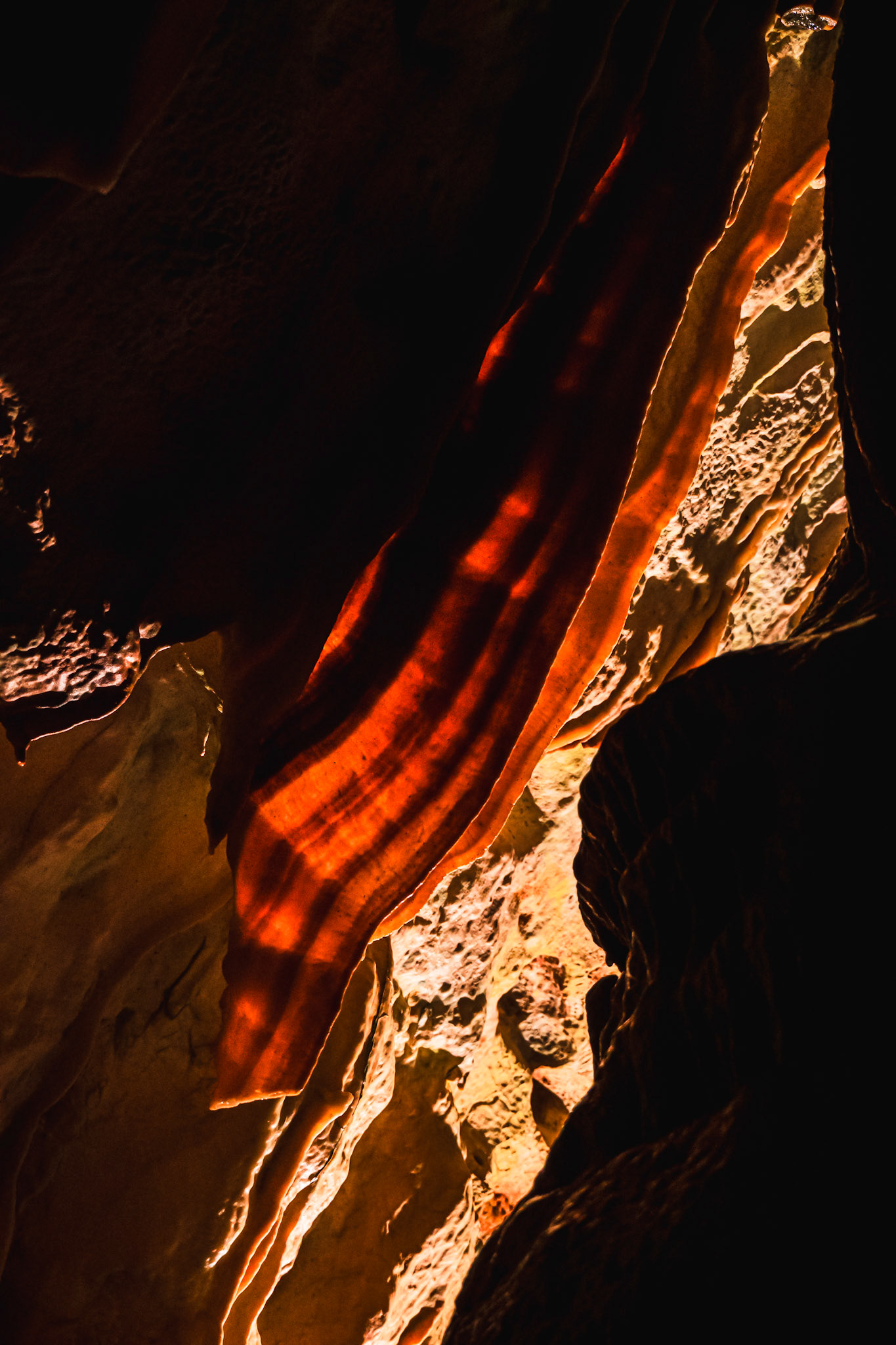 Postojna Cave