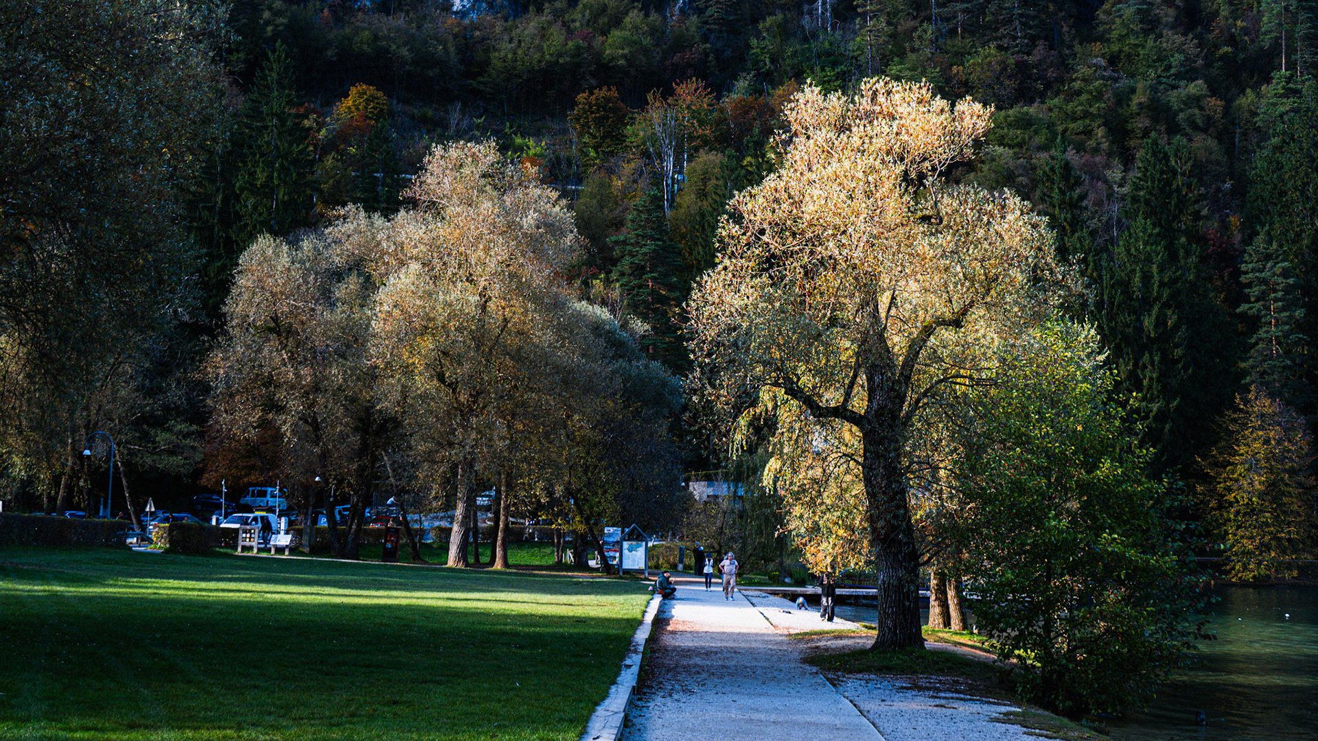 A park by Lake Bled