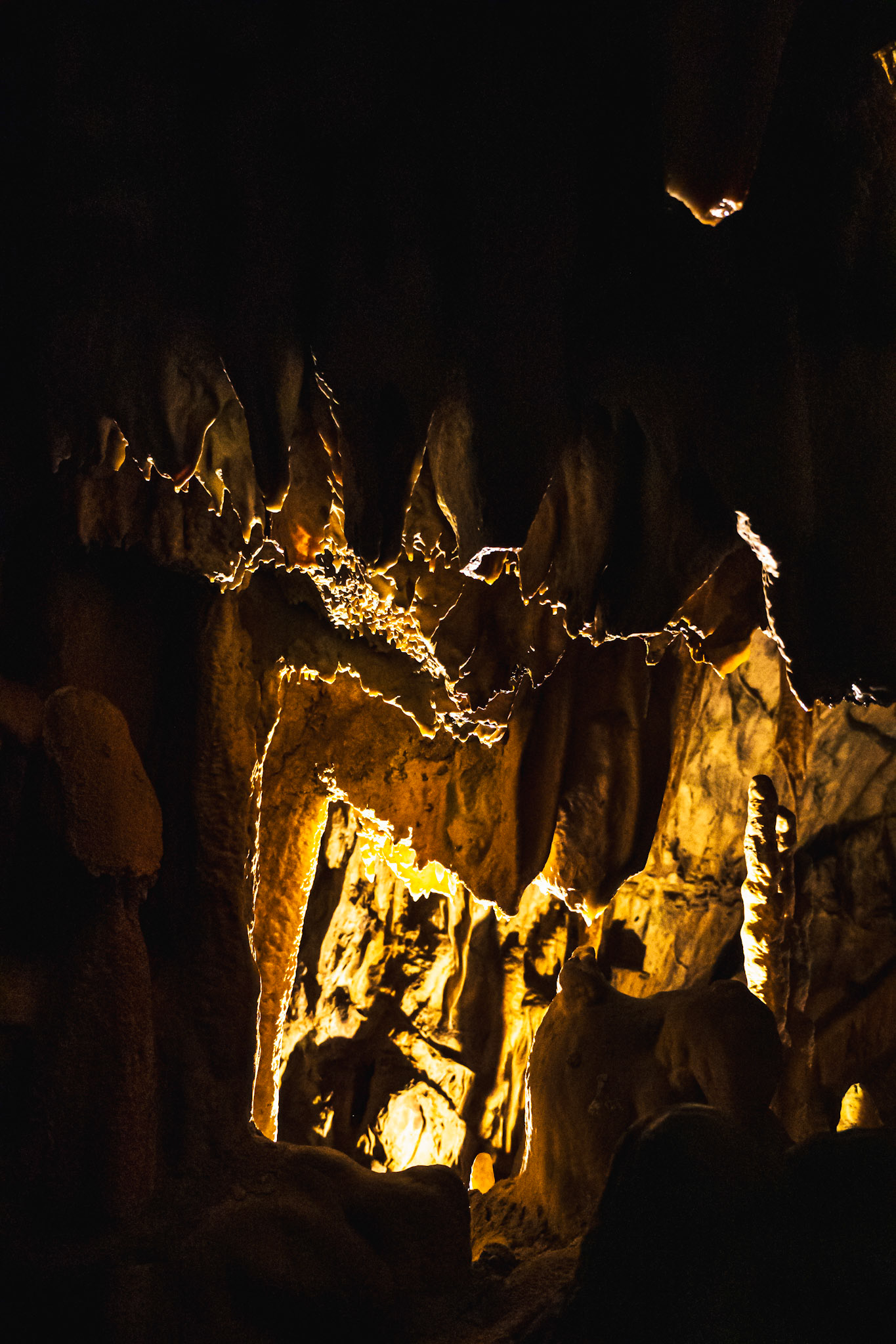 Postojna Cave