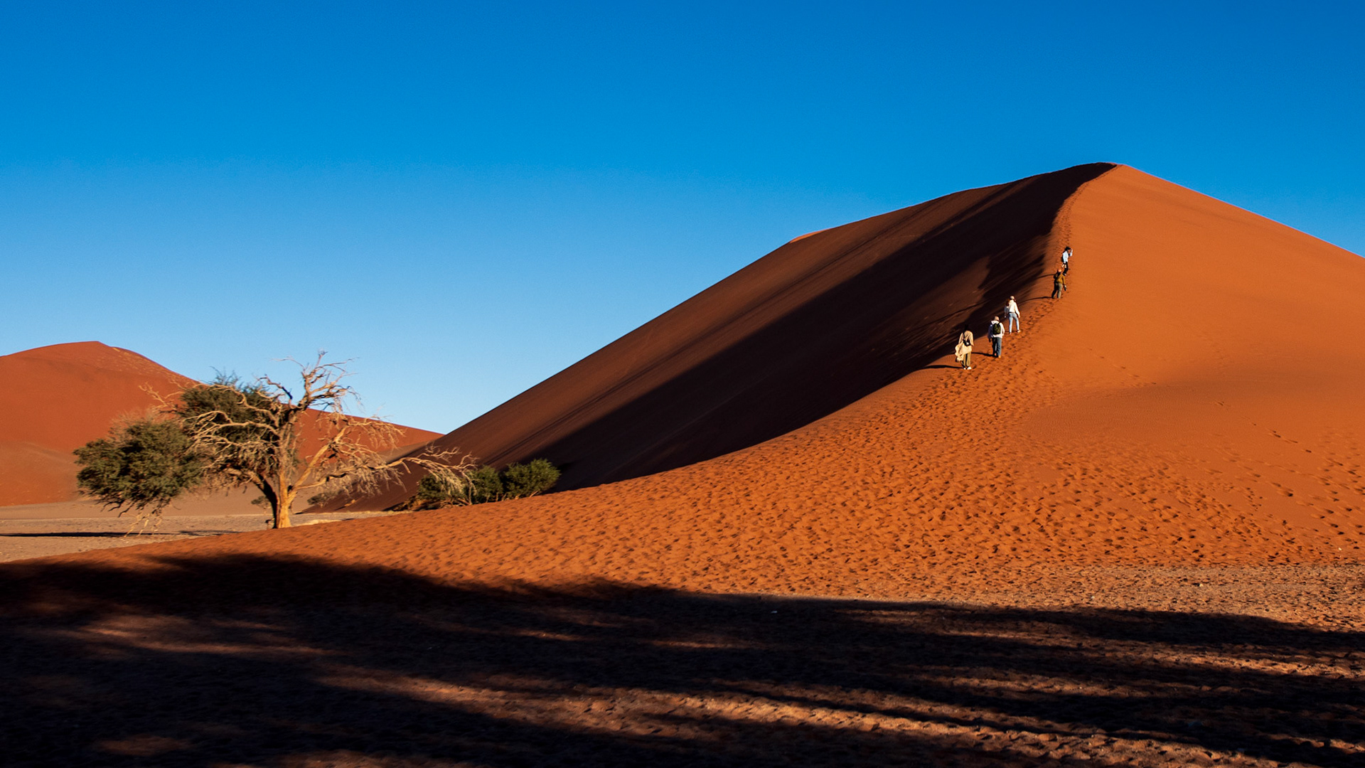 Dune 45, Sossusvlei