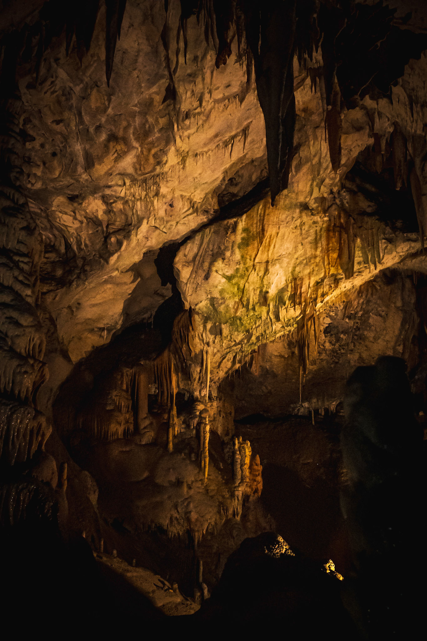 Postojna Cave