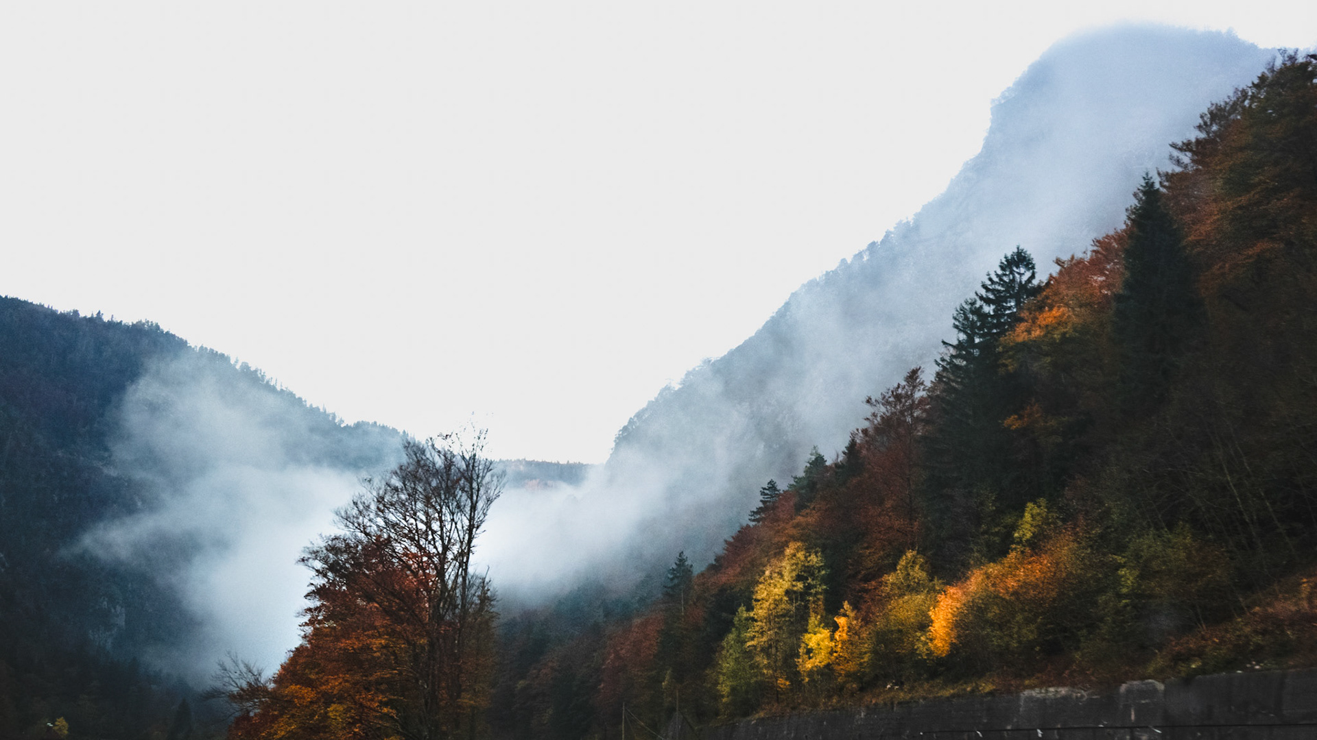 on the way to Lake Bled
