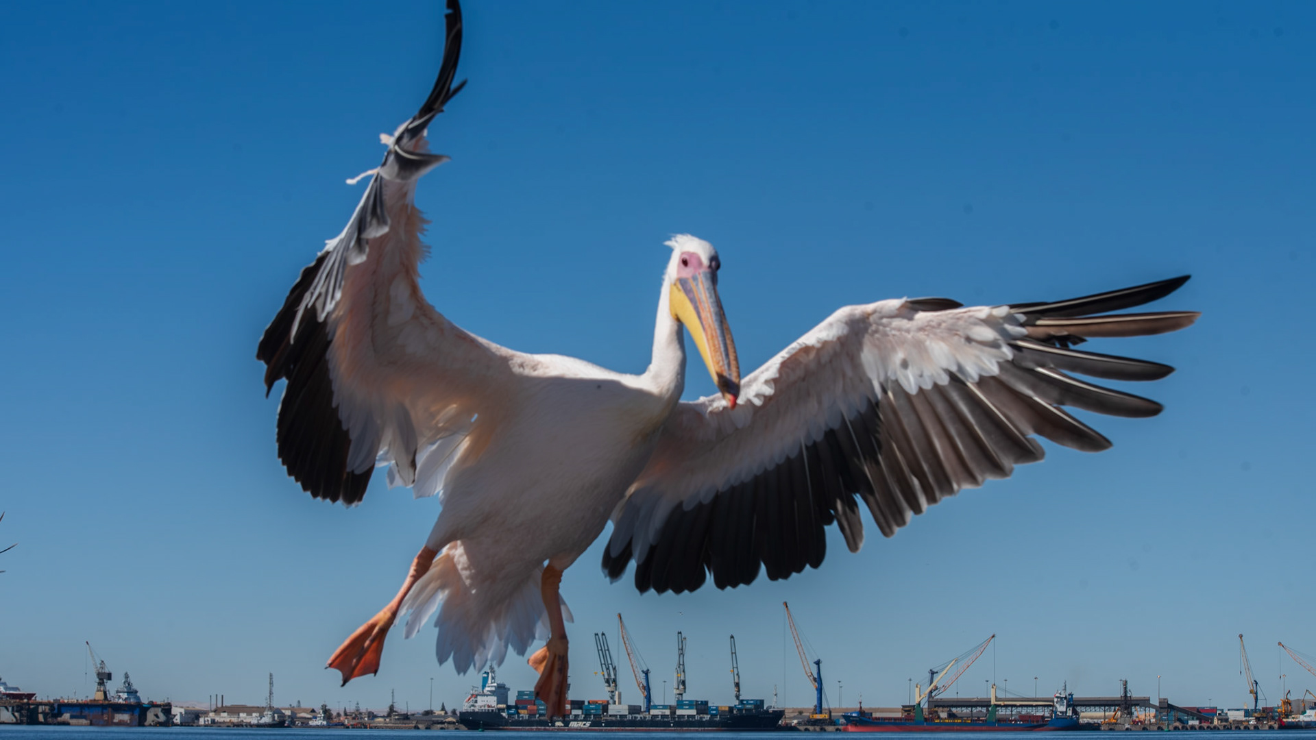 Walris Bay