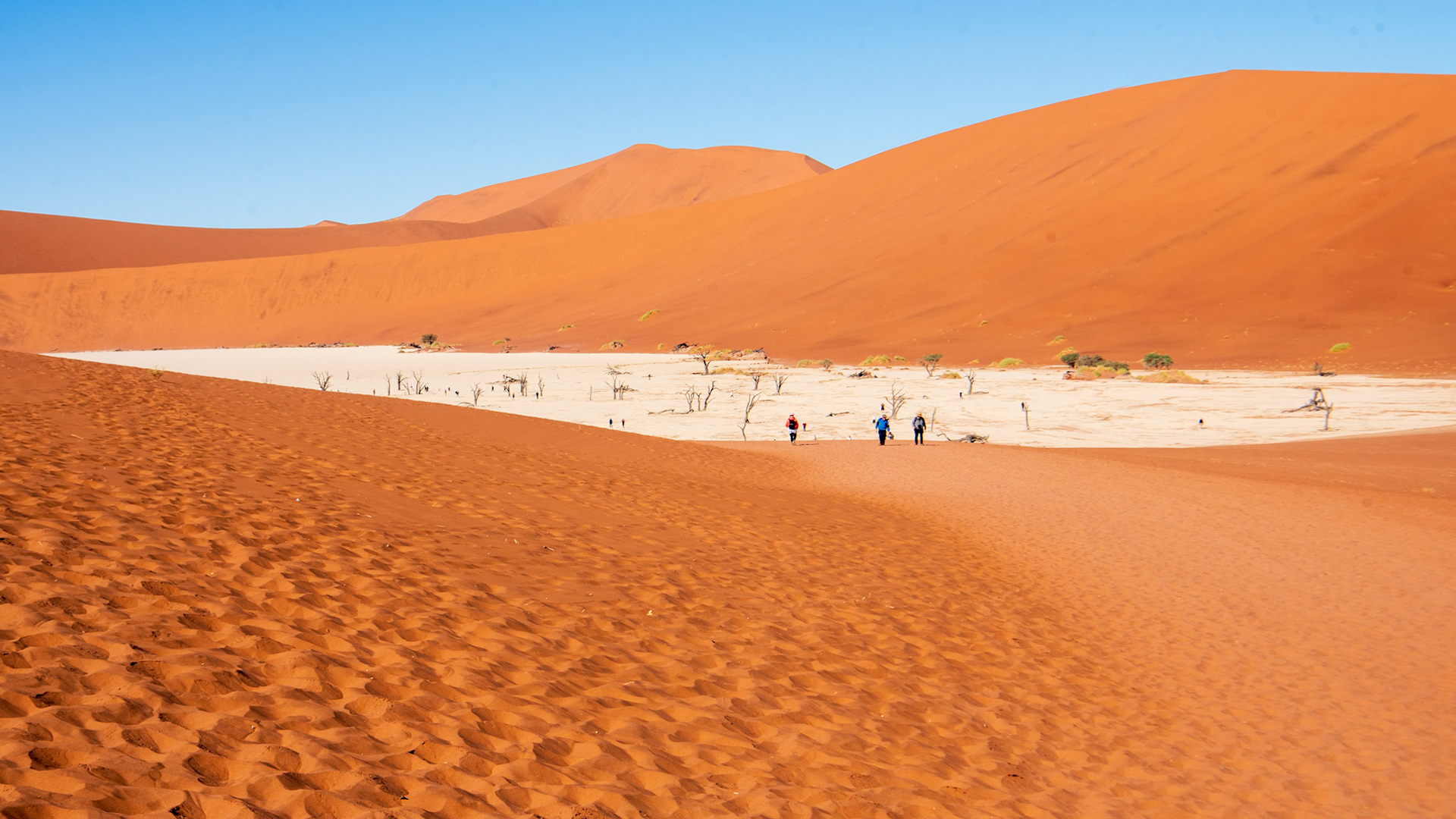 Deadvlei