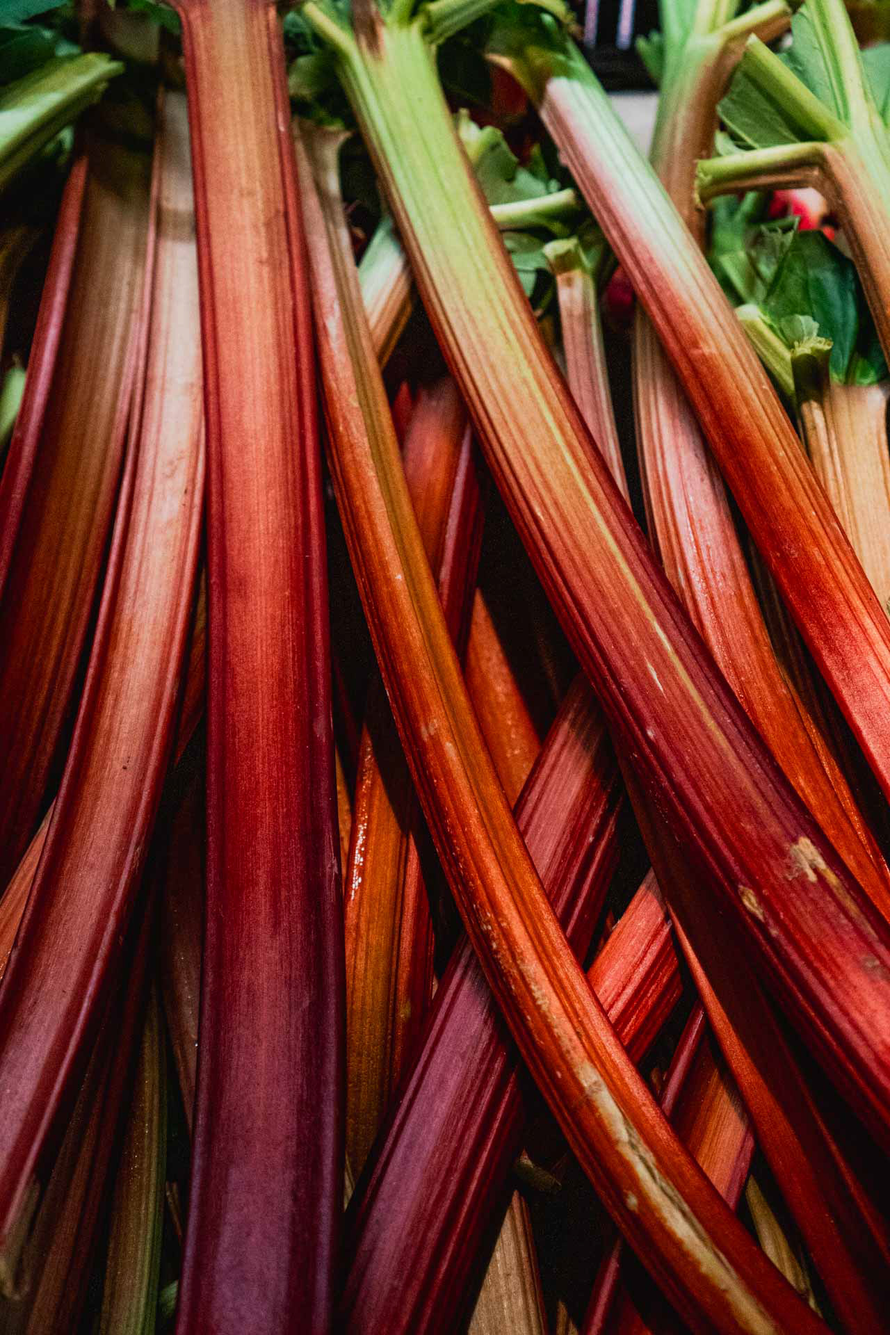 Rhabarber