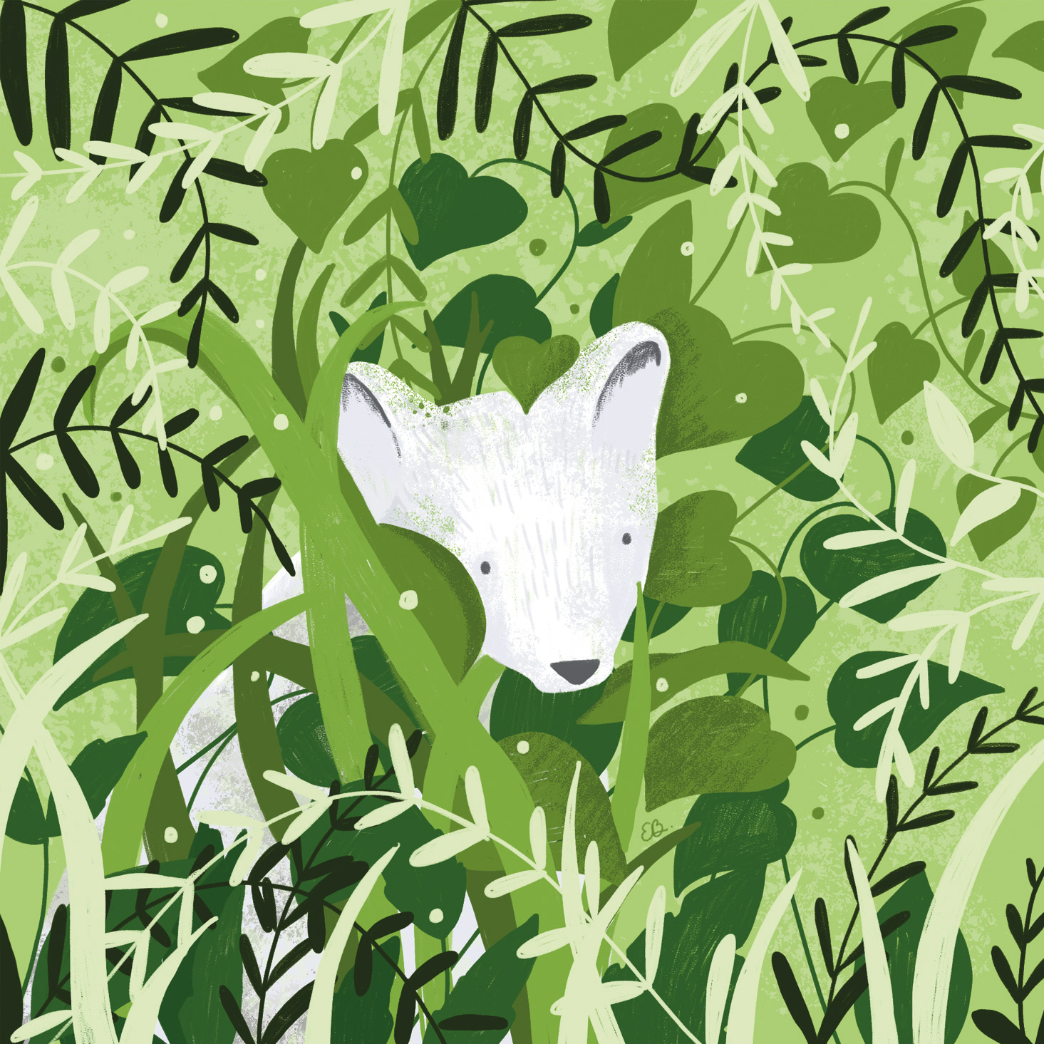 Stone Fox