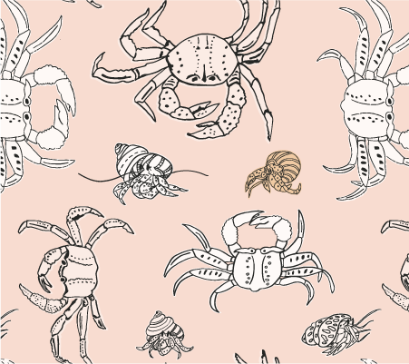nautical seaside pink and white crabs scuttling on the beach