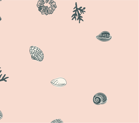 coastal pink and white sea shells and coral on the beach