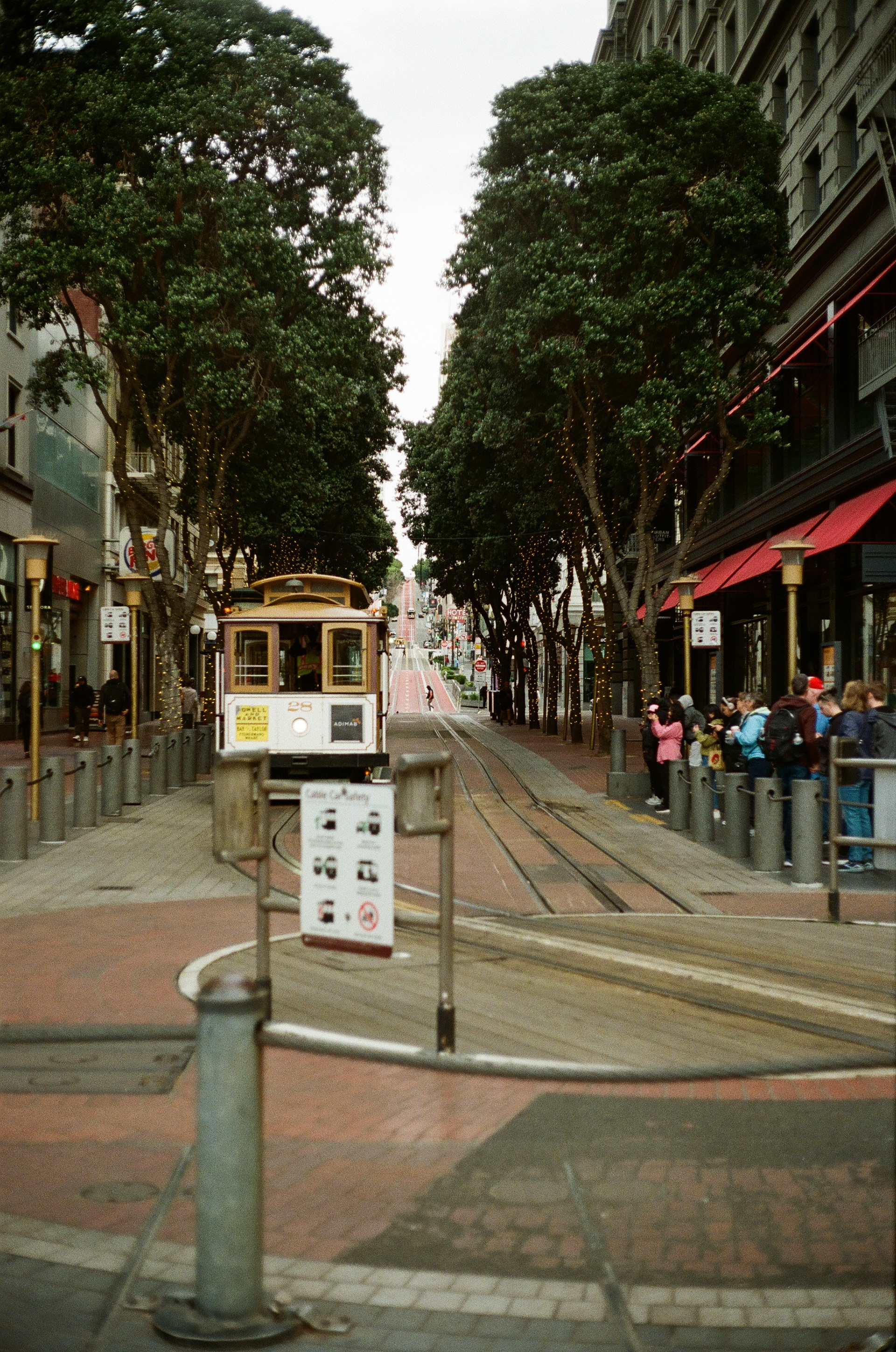 Yashica Electro 35 | FujiFilm 400