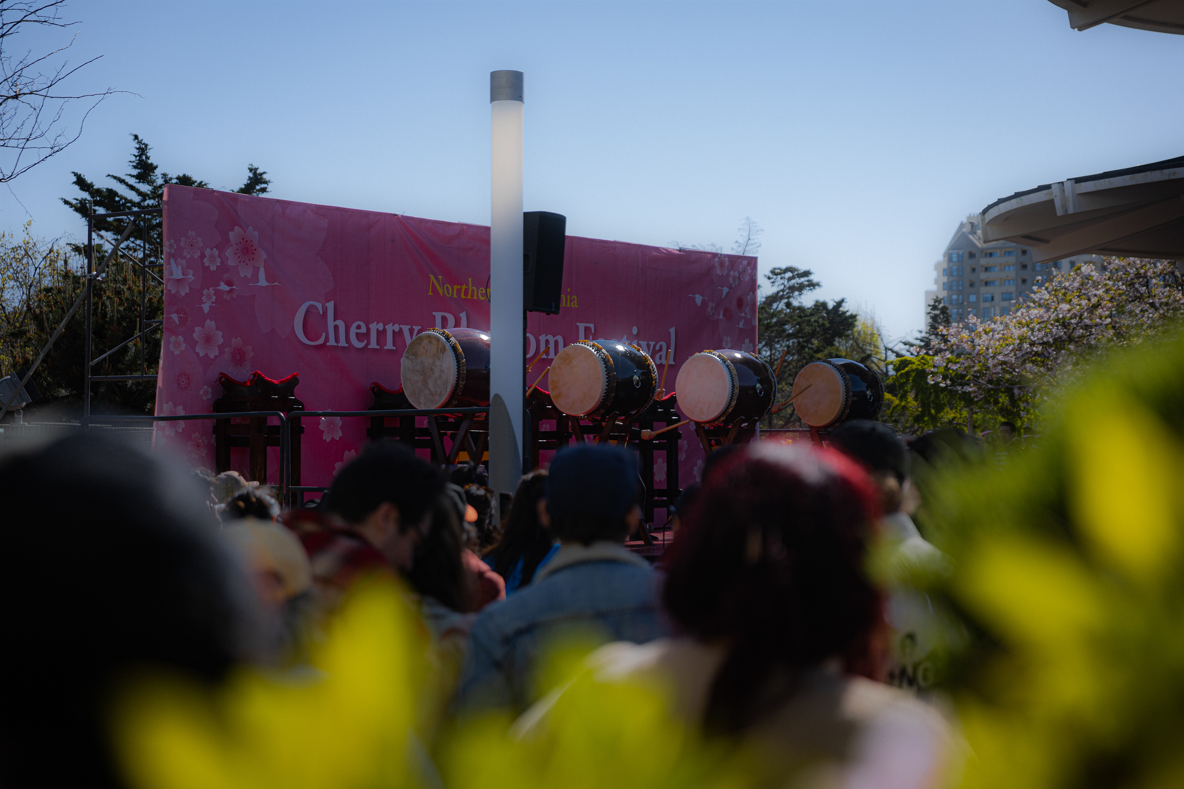 EOS RP | EF 24-70 f/2.8L II